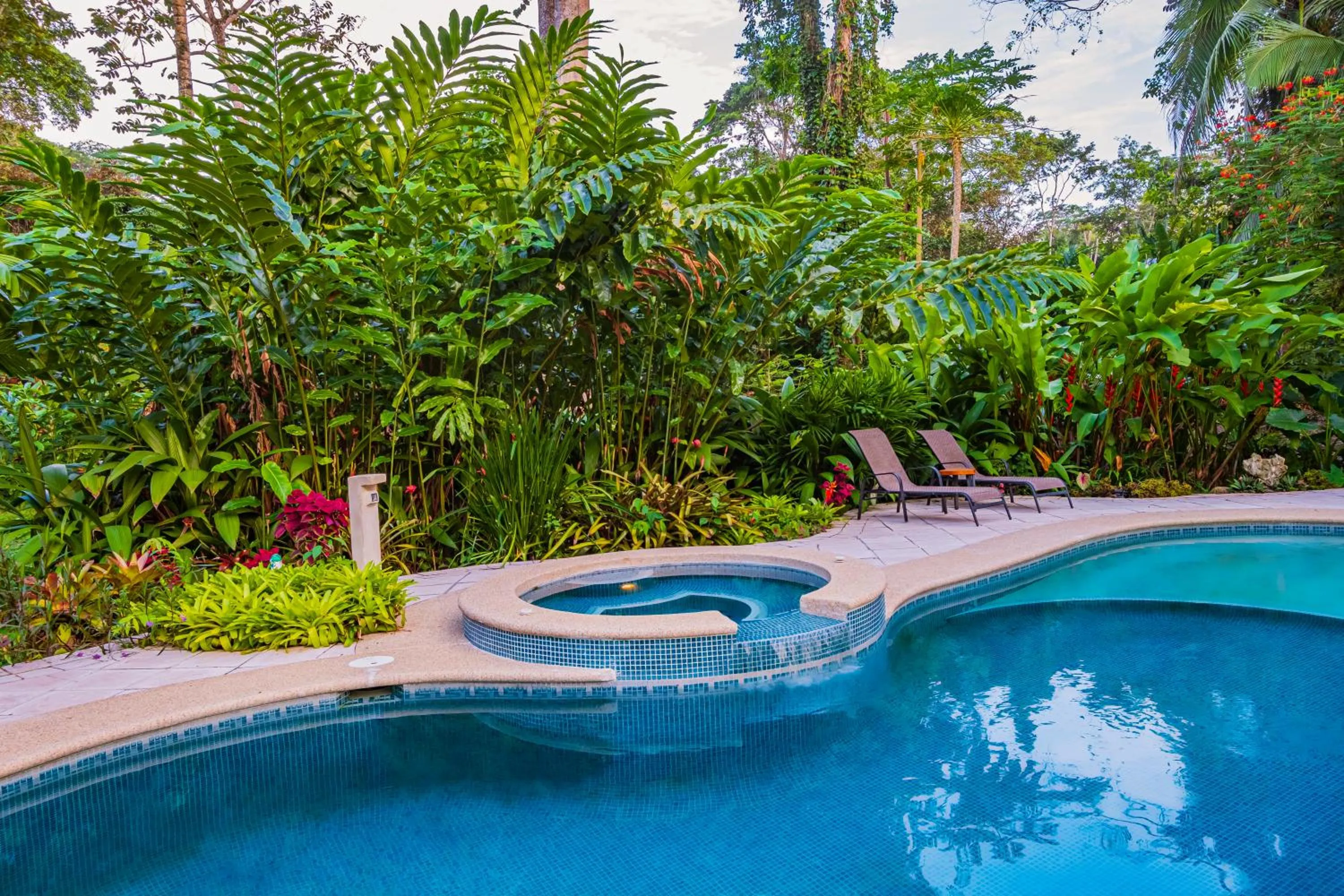 Garden in El Nido Jungle Lodge