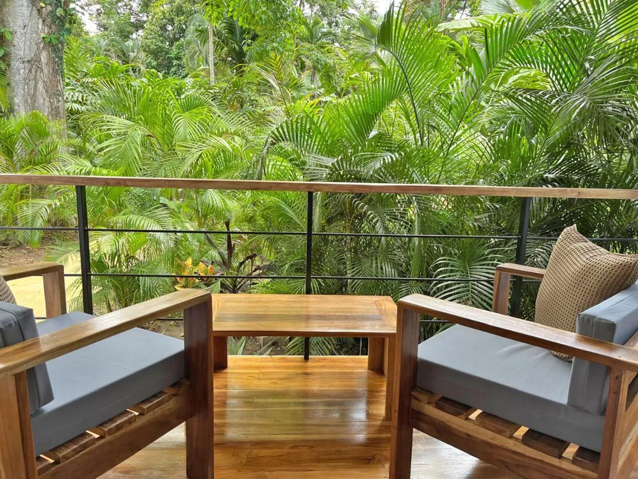 Garden in El Nido Jungle Lodge