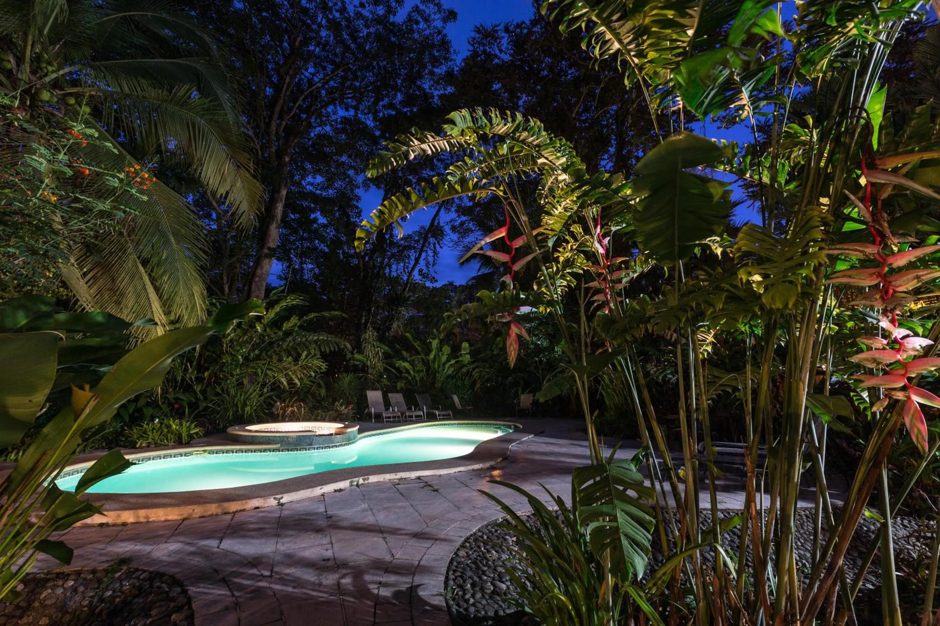 Swimming pool in El Nido Jungle Lodge