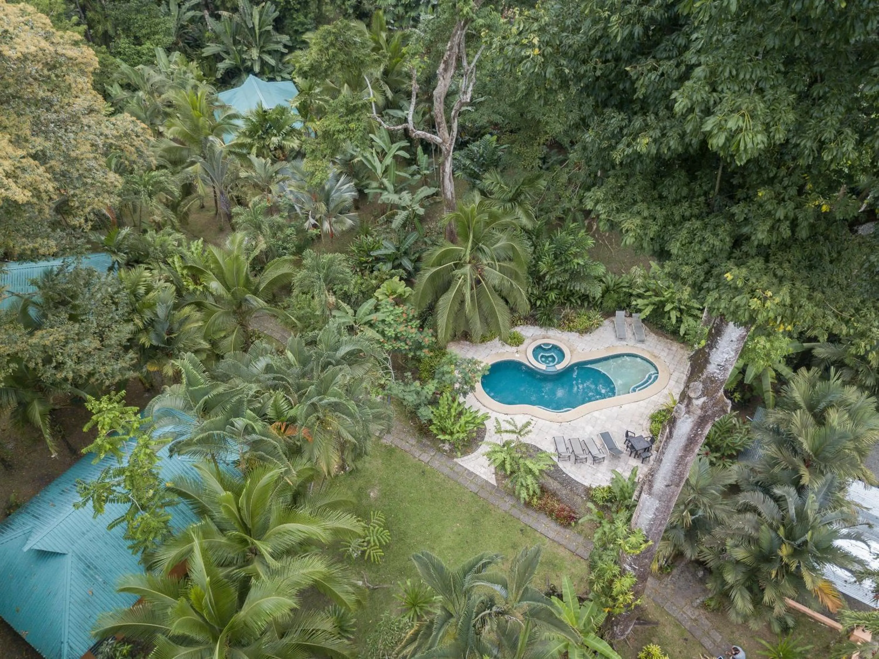 Bird's eye view in El Nido Jungle Lodge