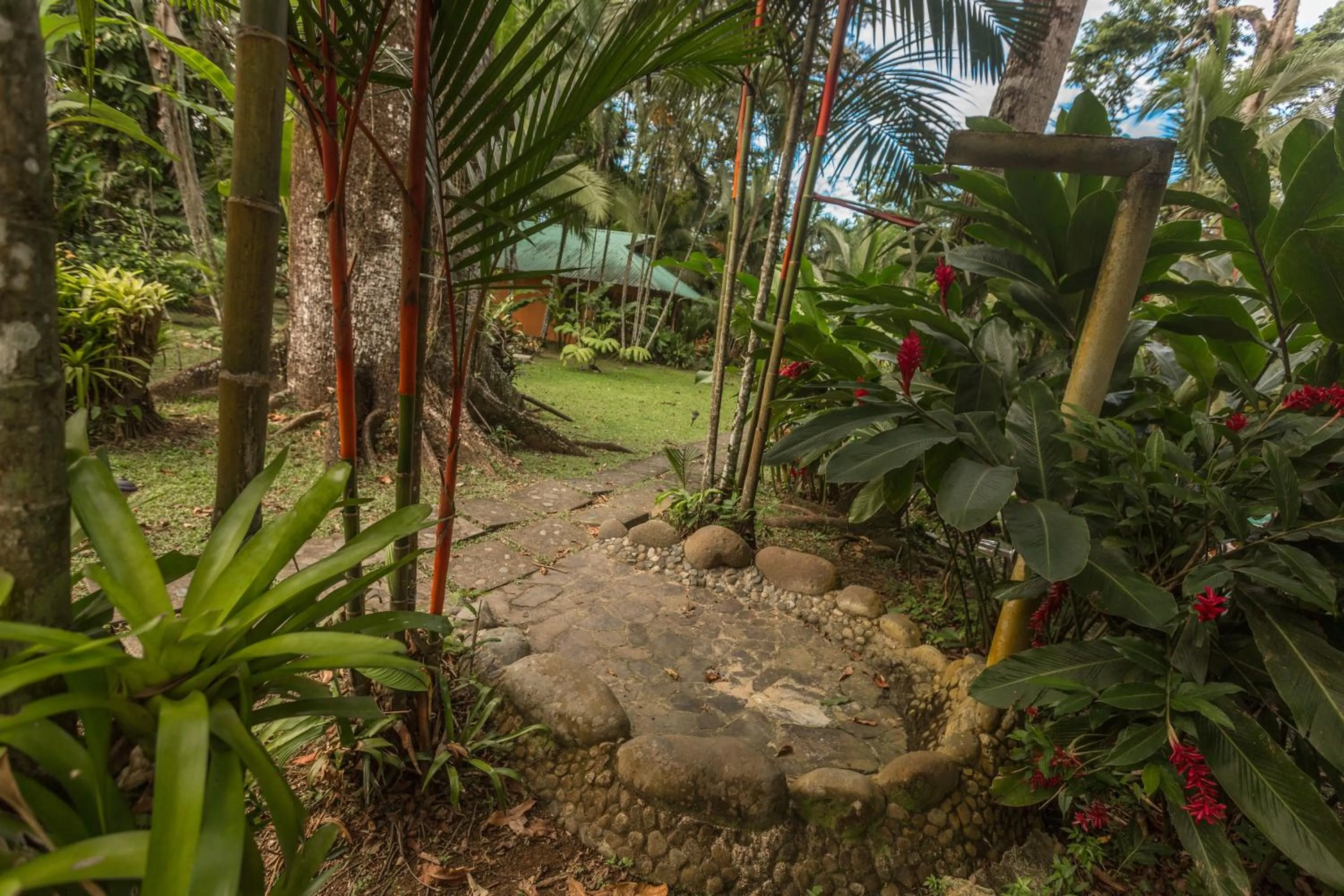Garden in El Nido Jungle Lodge