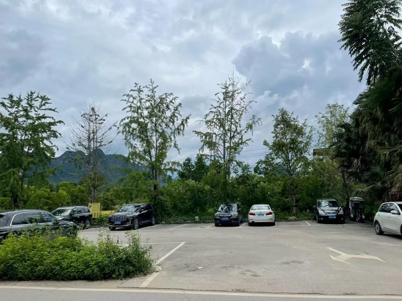 Lobby or reception in The Giggling Tree