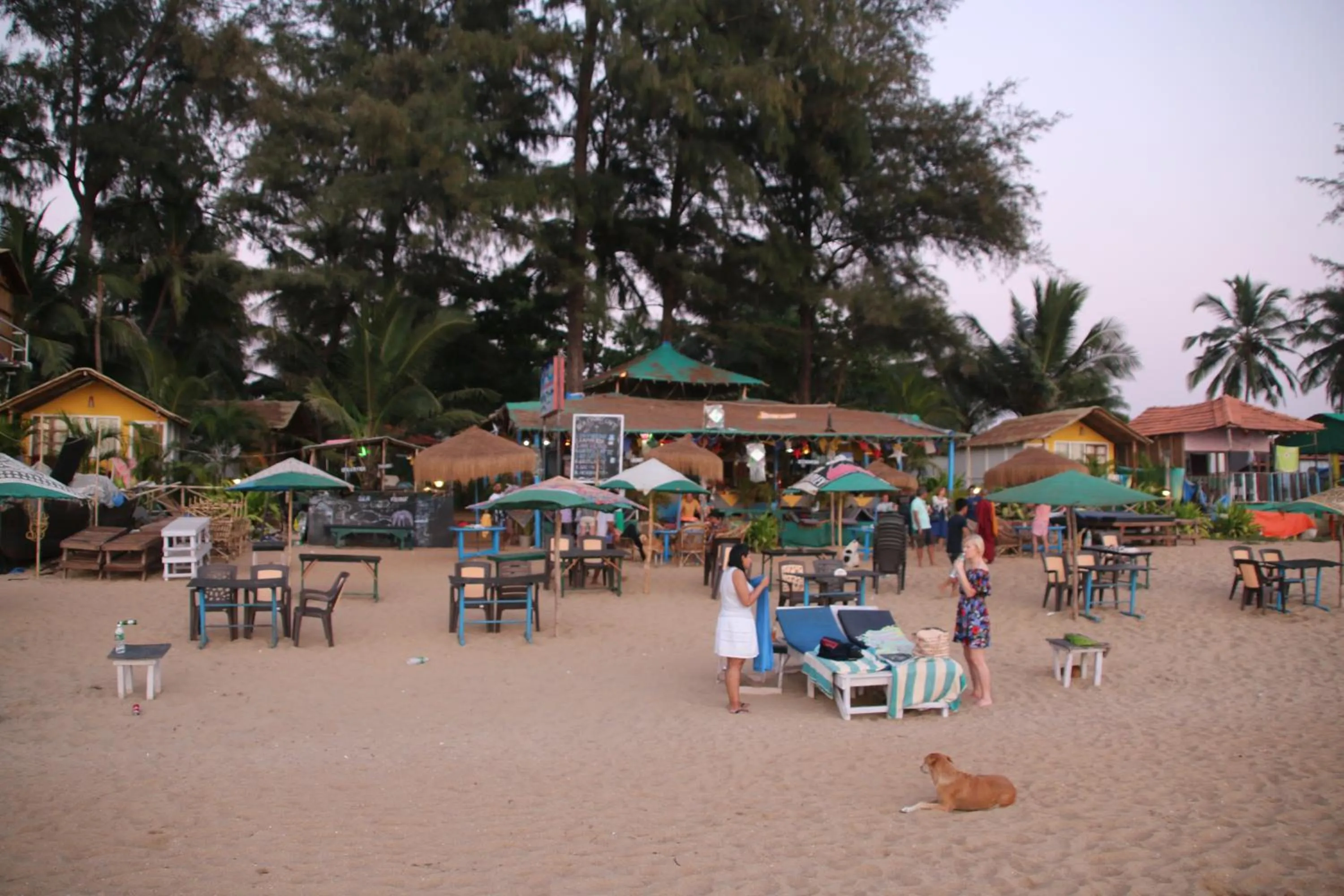 Sea Front Beach Huts