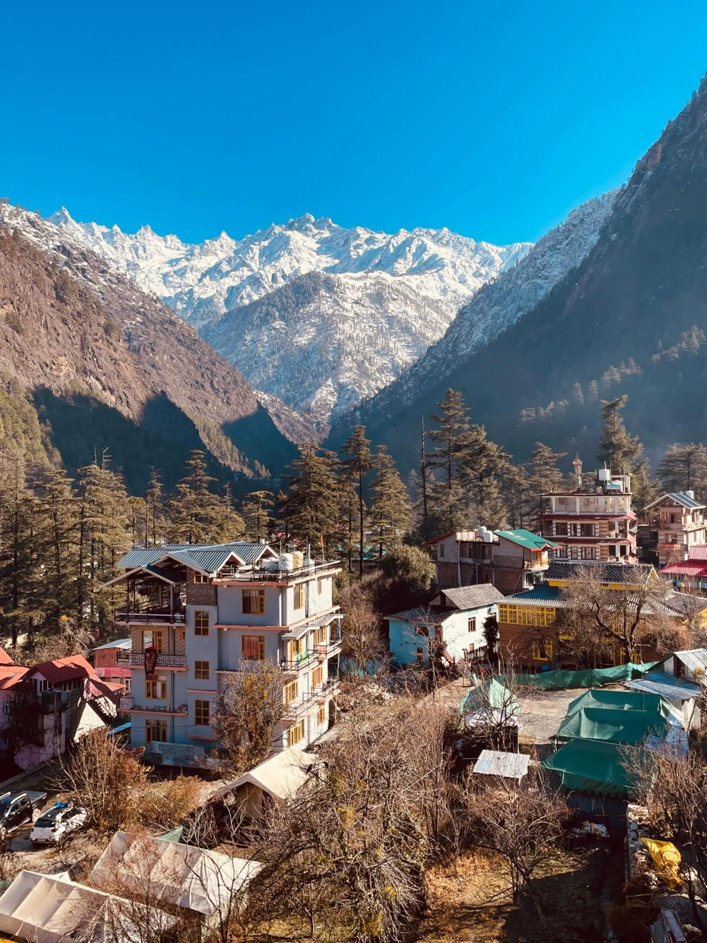 Mountain view in Jungle by sturmfrei Kasol