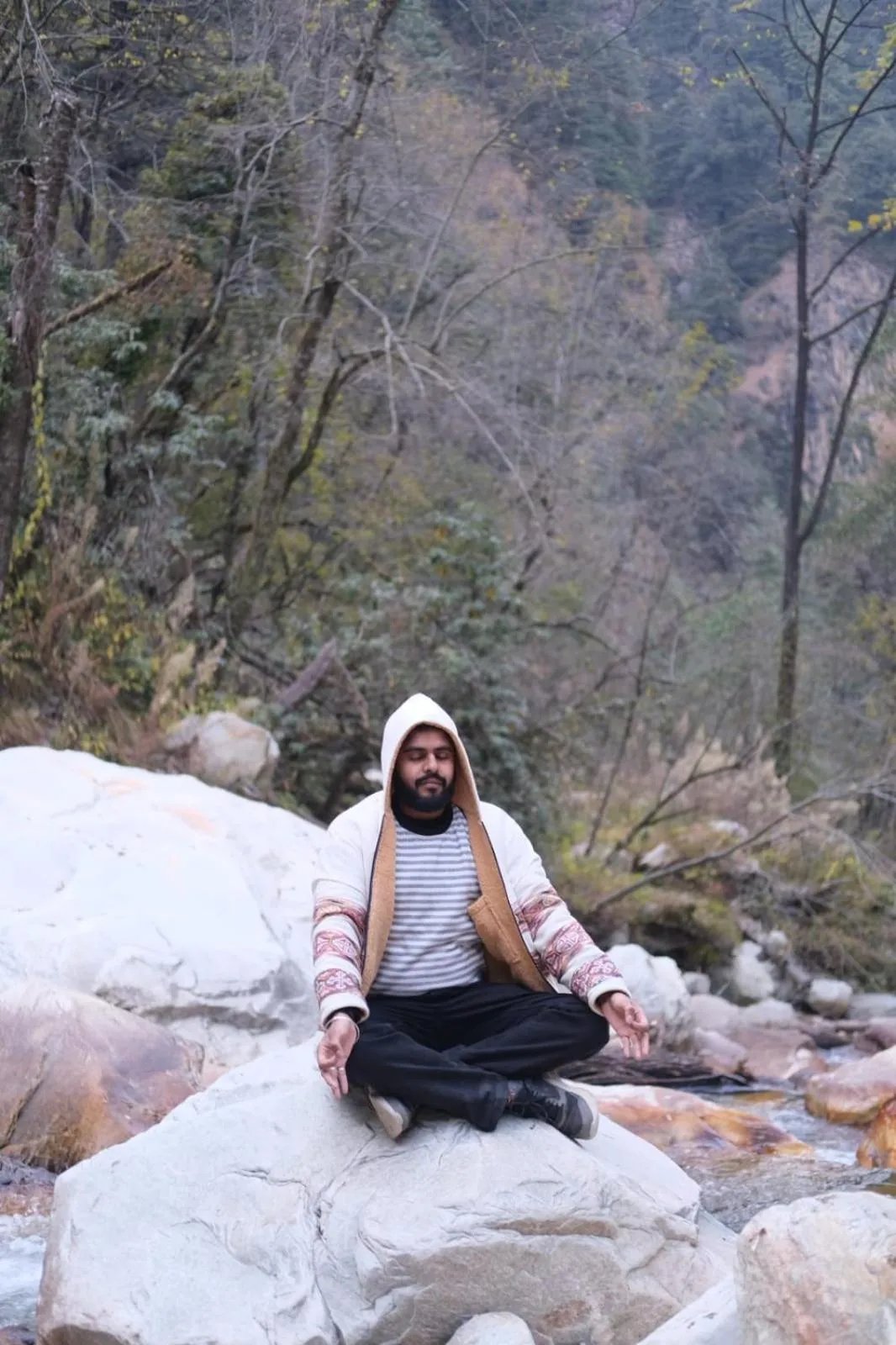 Mountain view in Jungle by sturmfrei Kasol