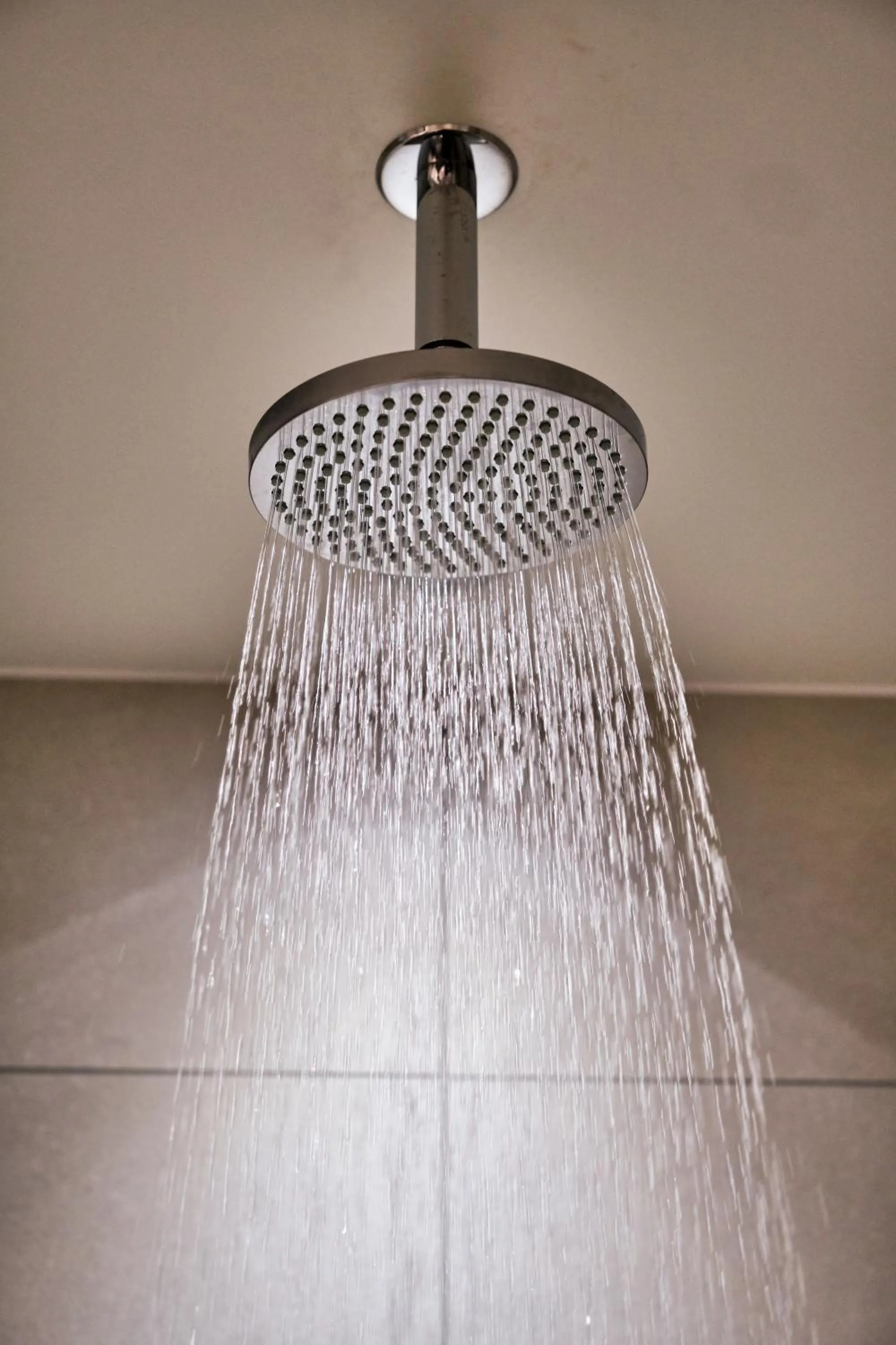 Shower in Llanerch Vineyard Hotel