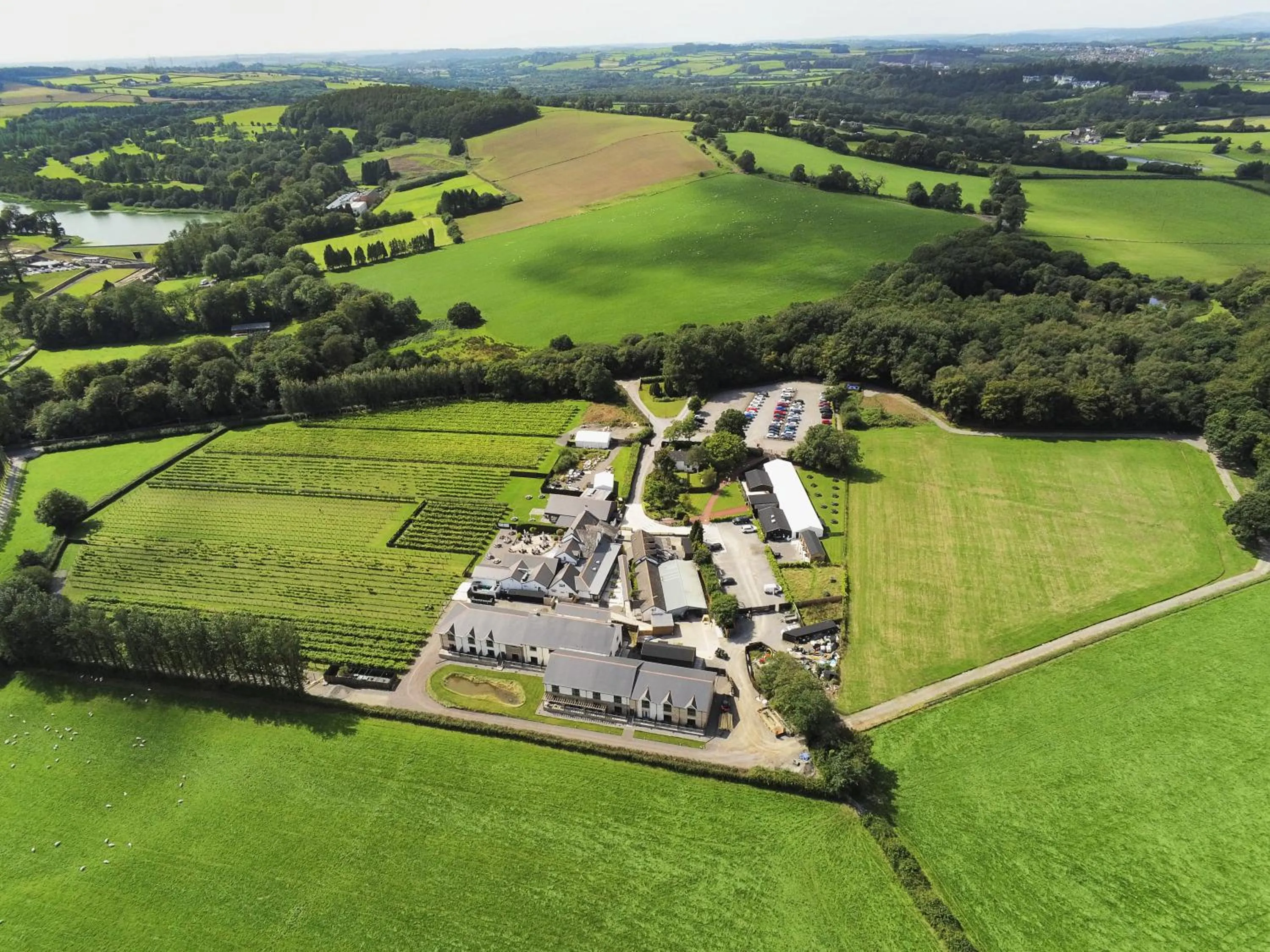 Bird's eye view in Llanerch Vineyard Hotel