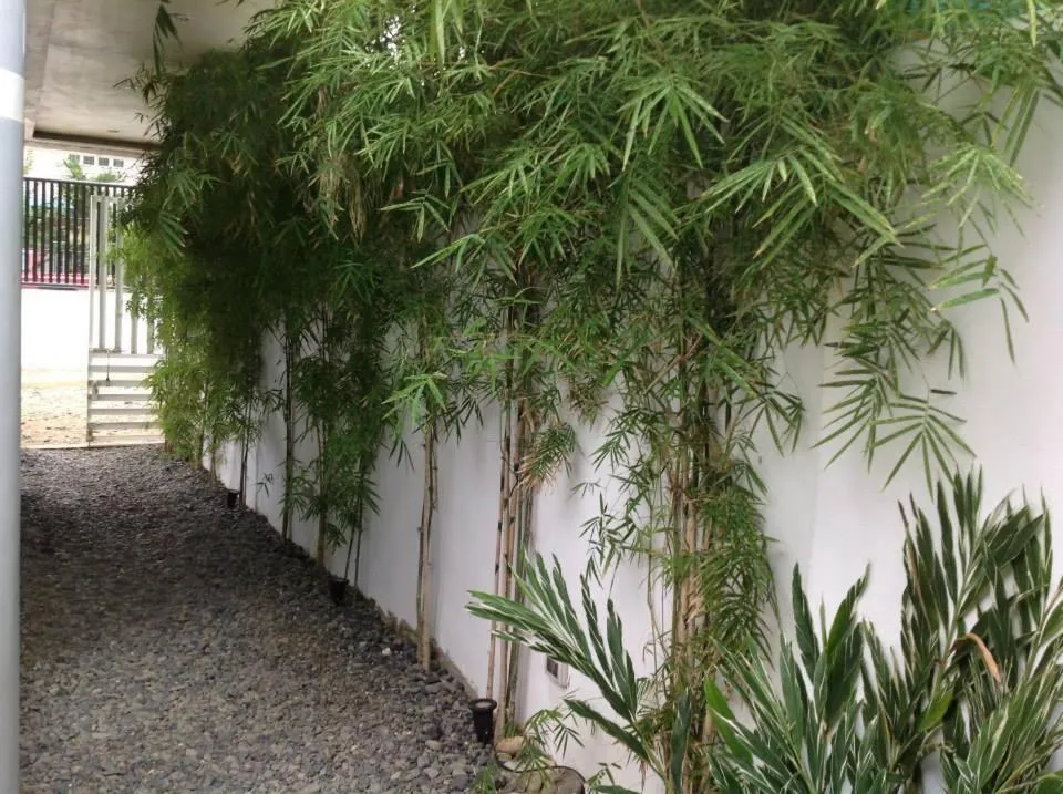 Decorative detail in Joaquinn's Bed and Breakfast