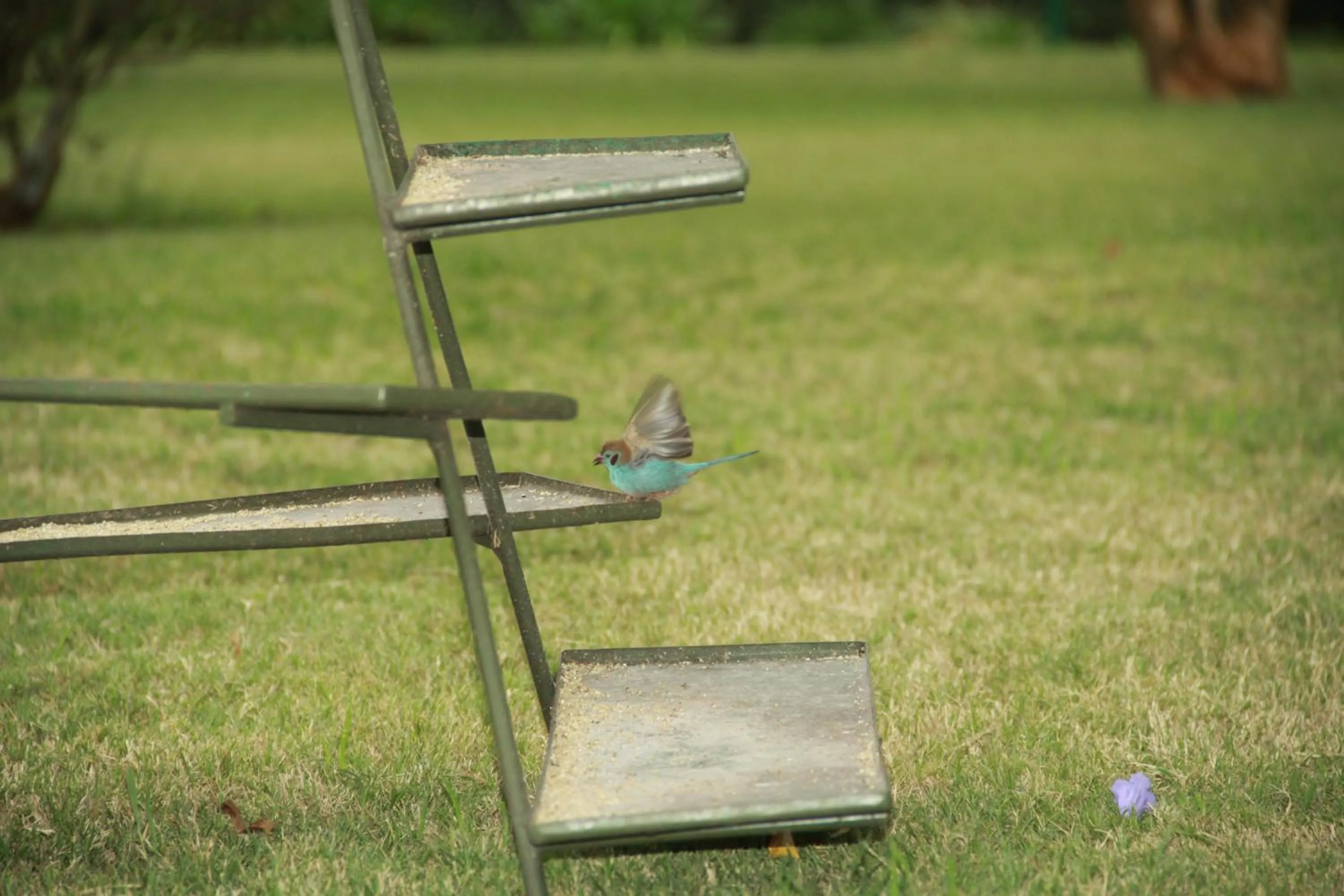 Area and facilities in House of Waine