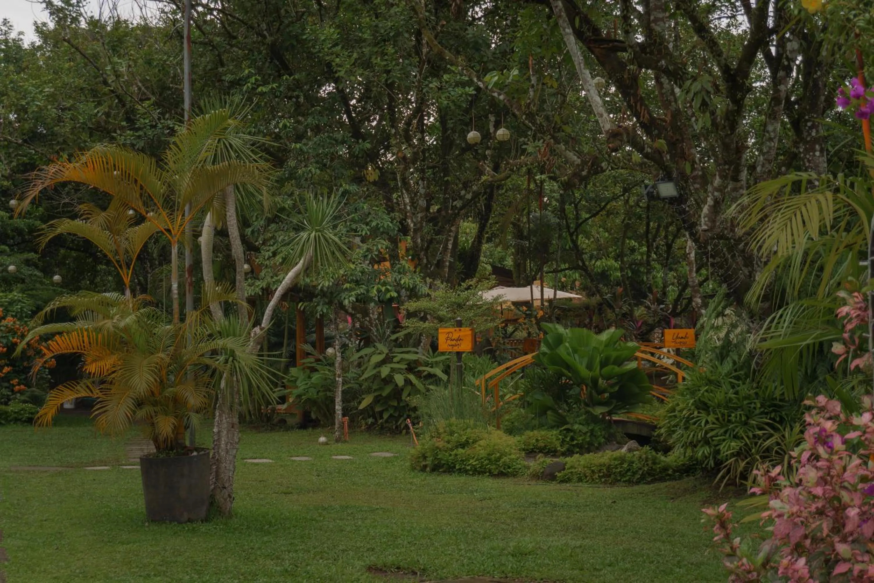Garden in Diwata Nature Resort