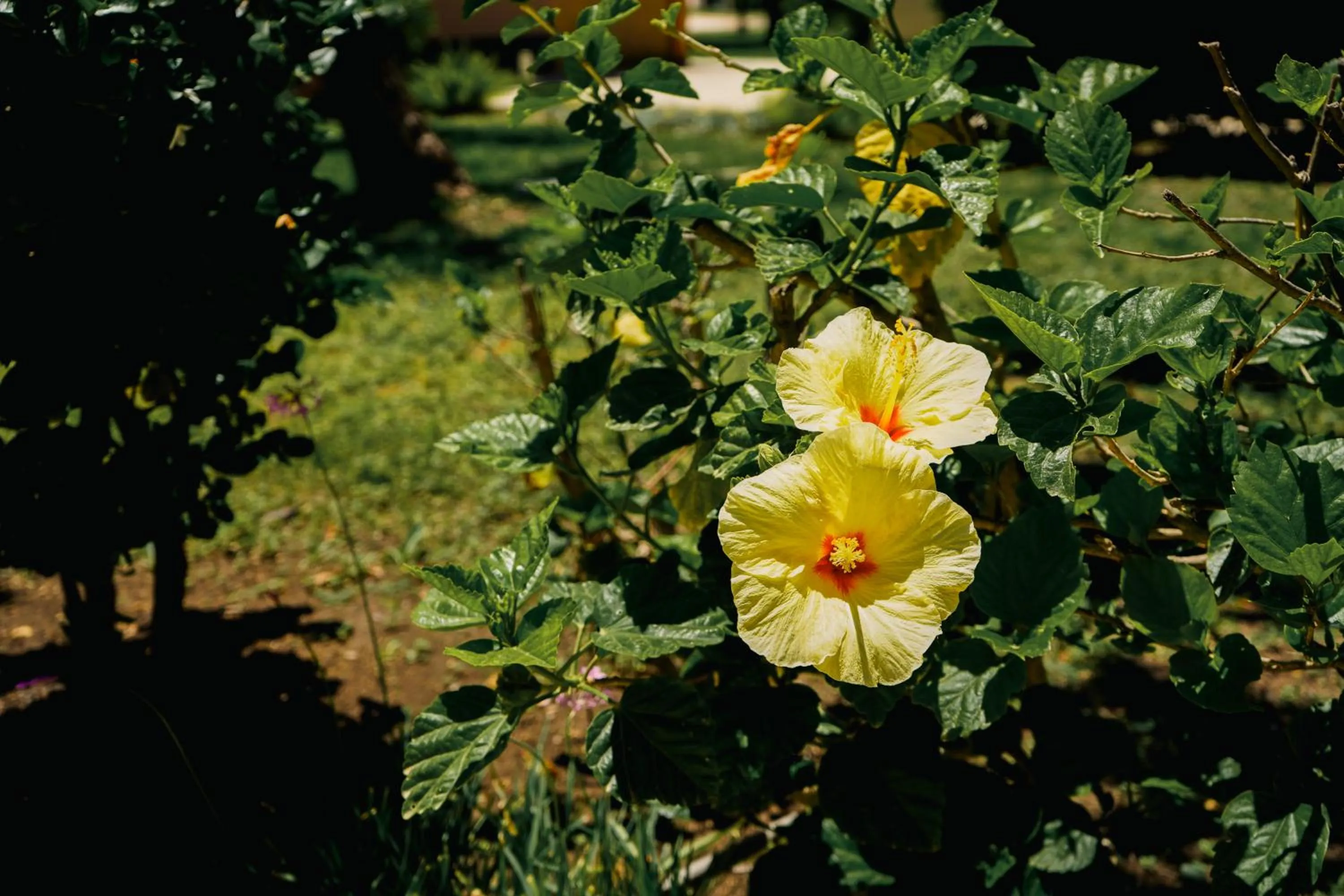 Spring in RESIDENCE ARCHIMEDE