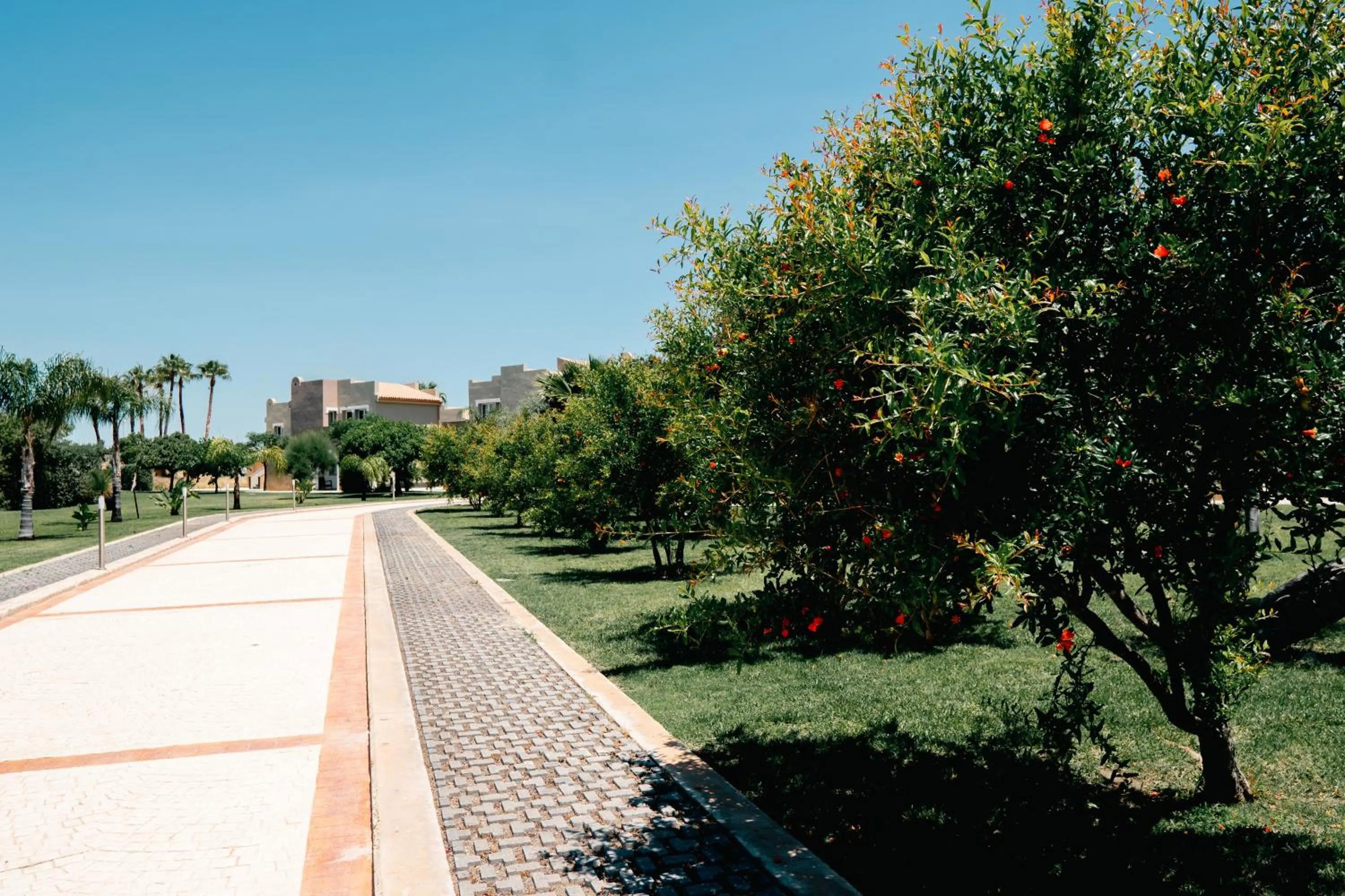 Garden in RESIDENCE ARCHIMEDE