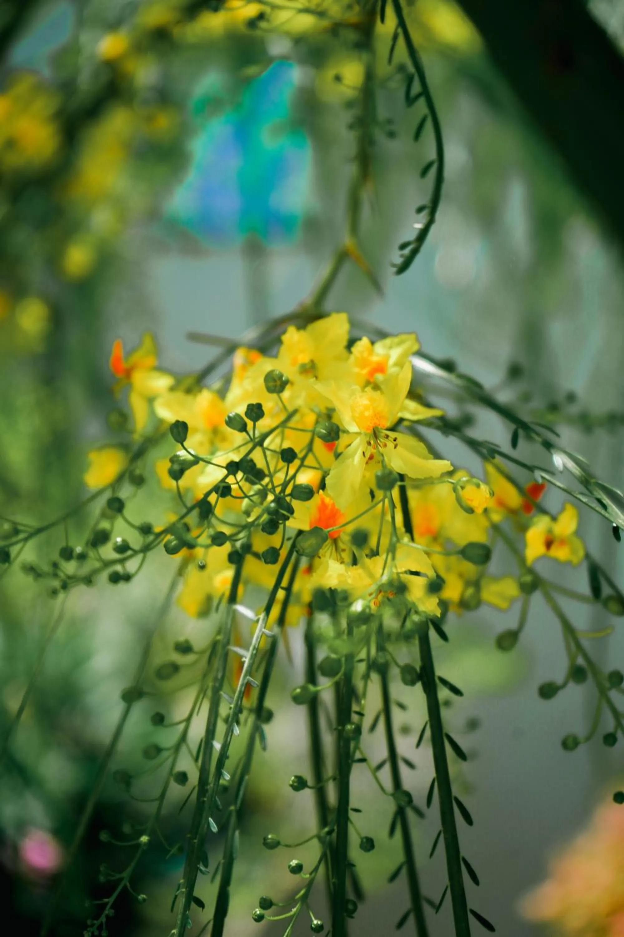 Garden in RESIDENCE ARCHIMEDE