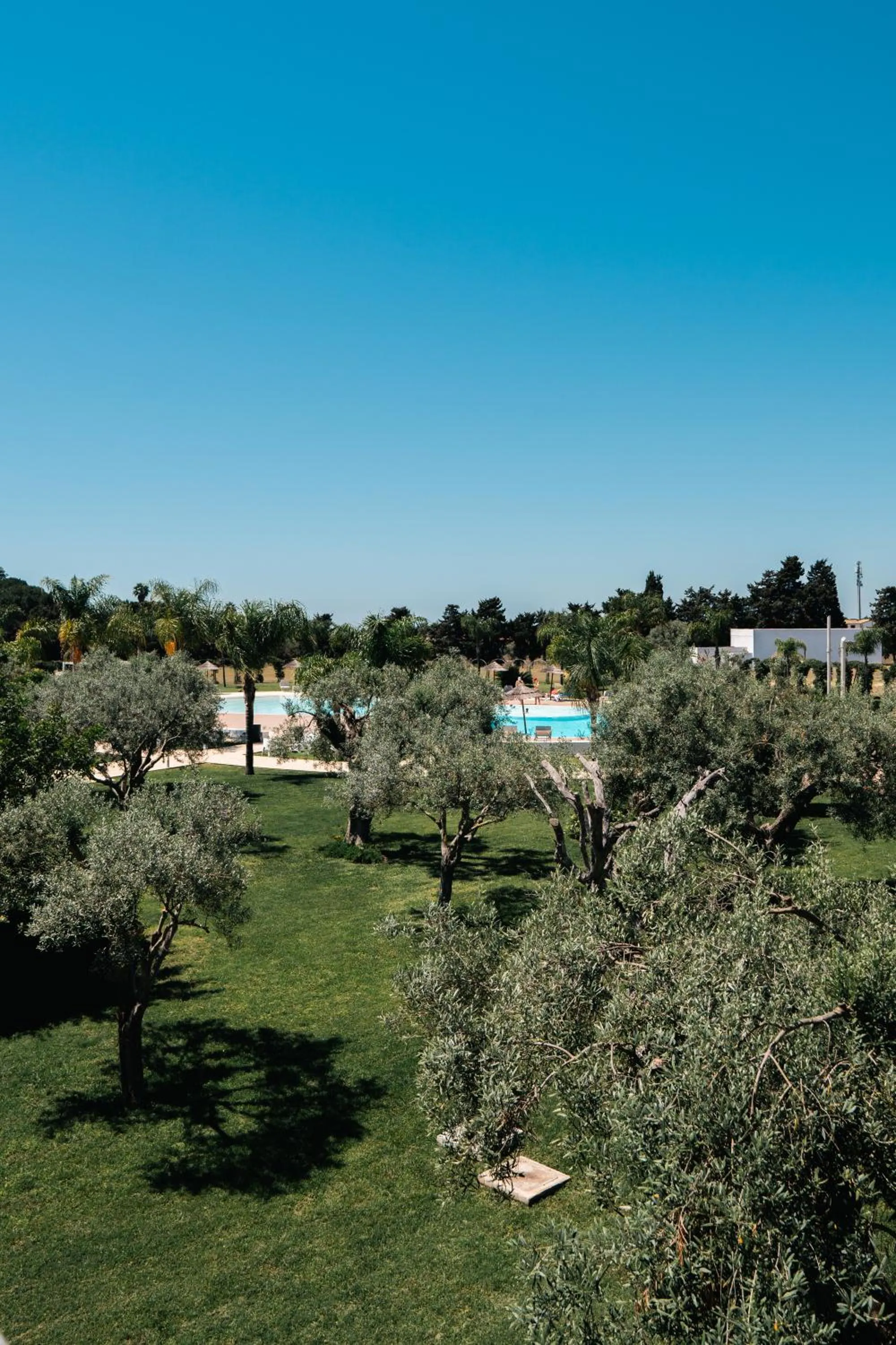 Garden in RESIDENCE ARCHIMEDE