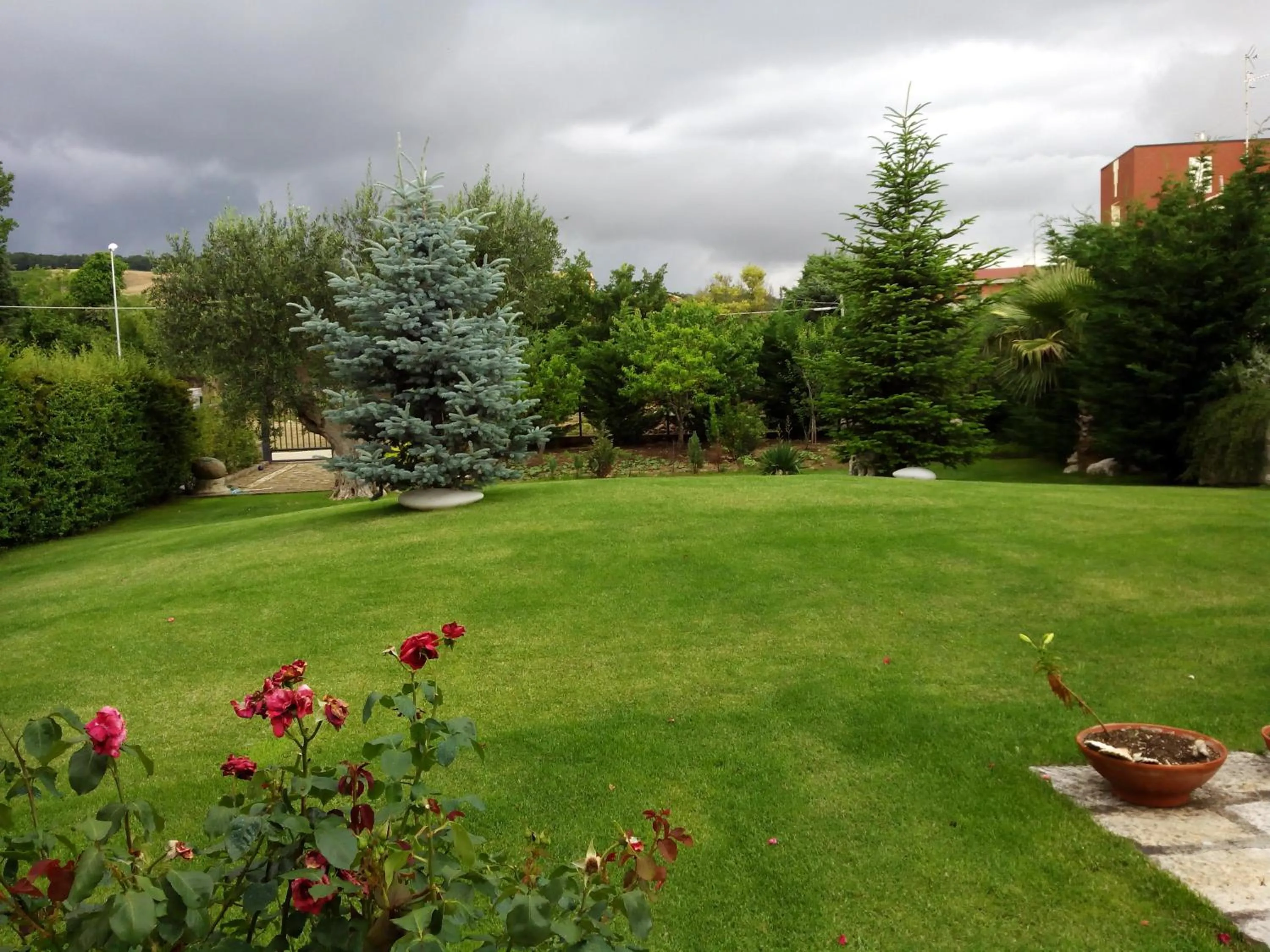 Garden in I Gelsomini