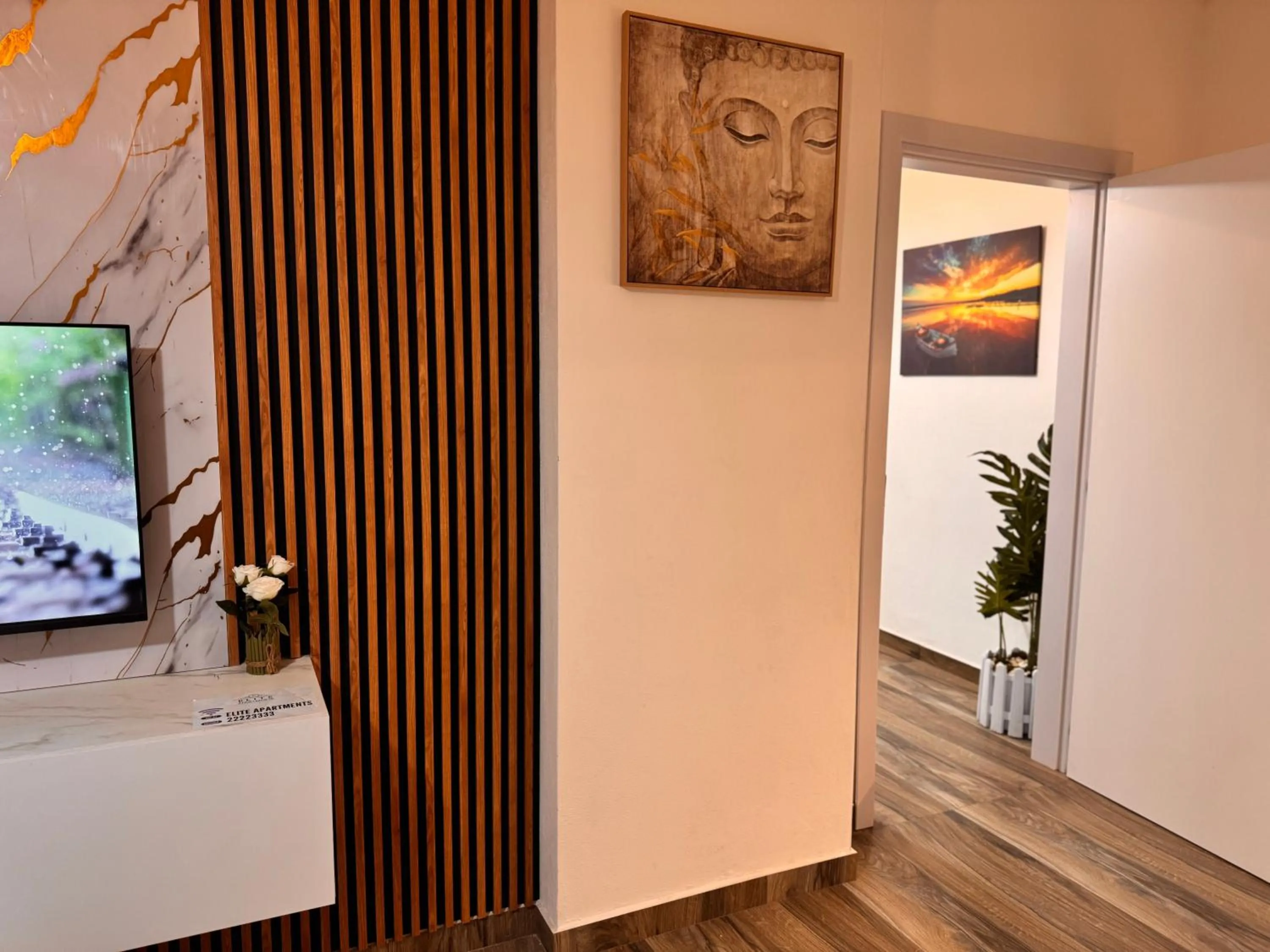 TV and multimedia in Elite Apartments