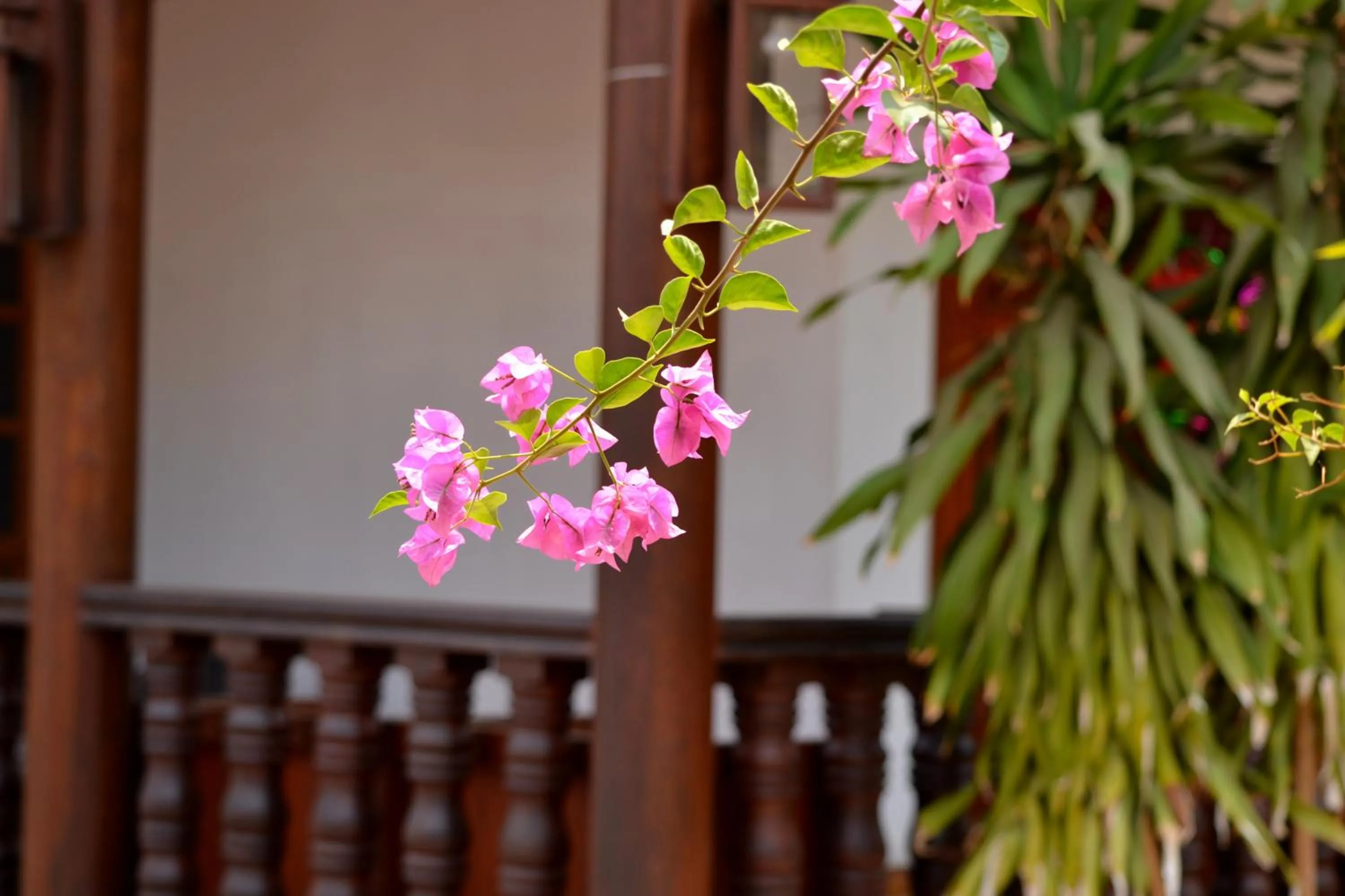 Property building in Eureka Villas Siem Reap