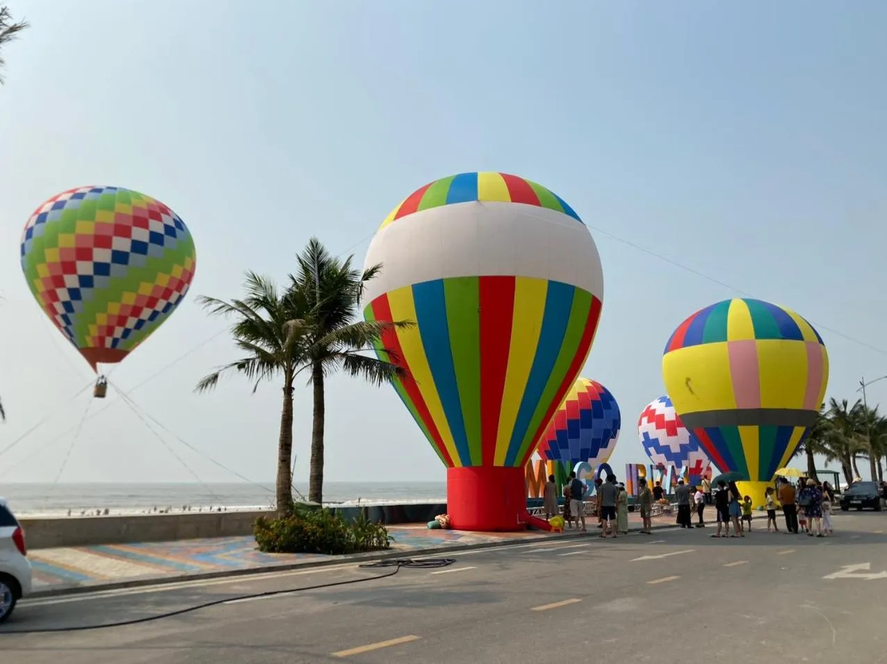 Day in Flamingos Hải Tiến