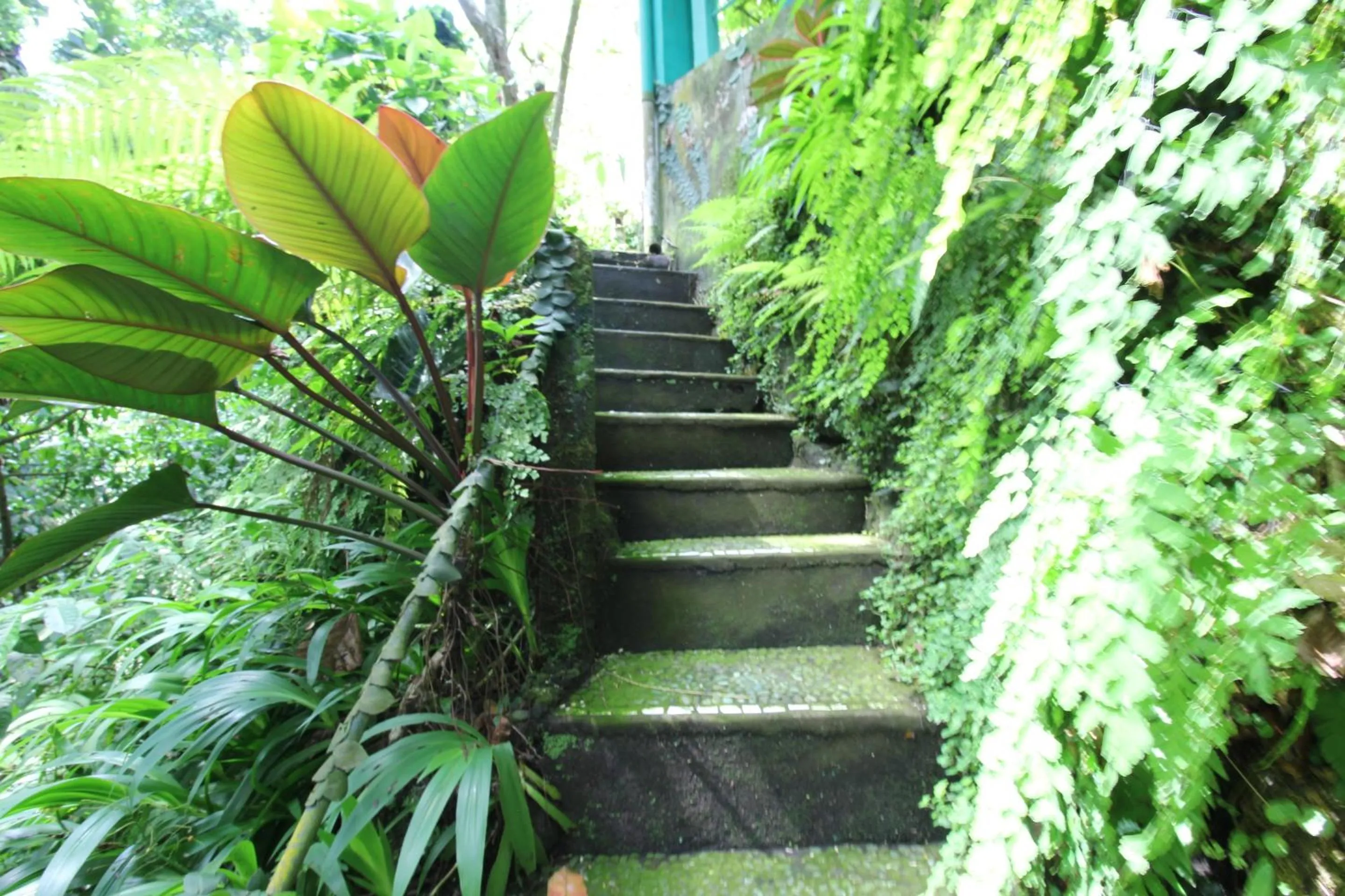 Lobby or reception in Belvilla Padma Legian Resort Near Monkey ForestNearUbud Palace