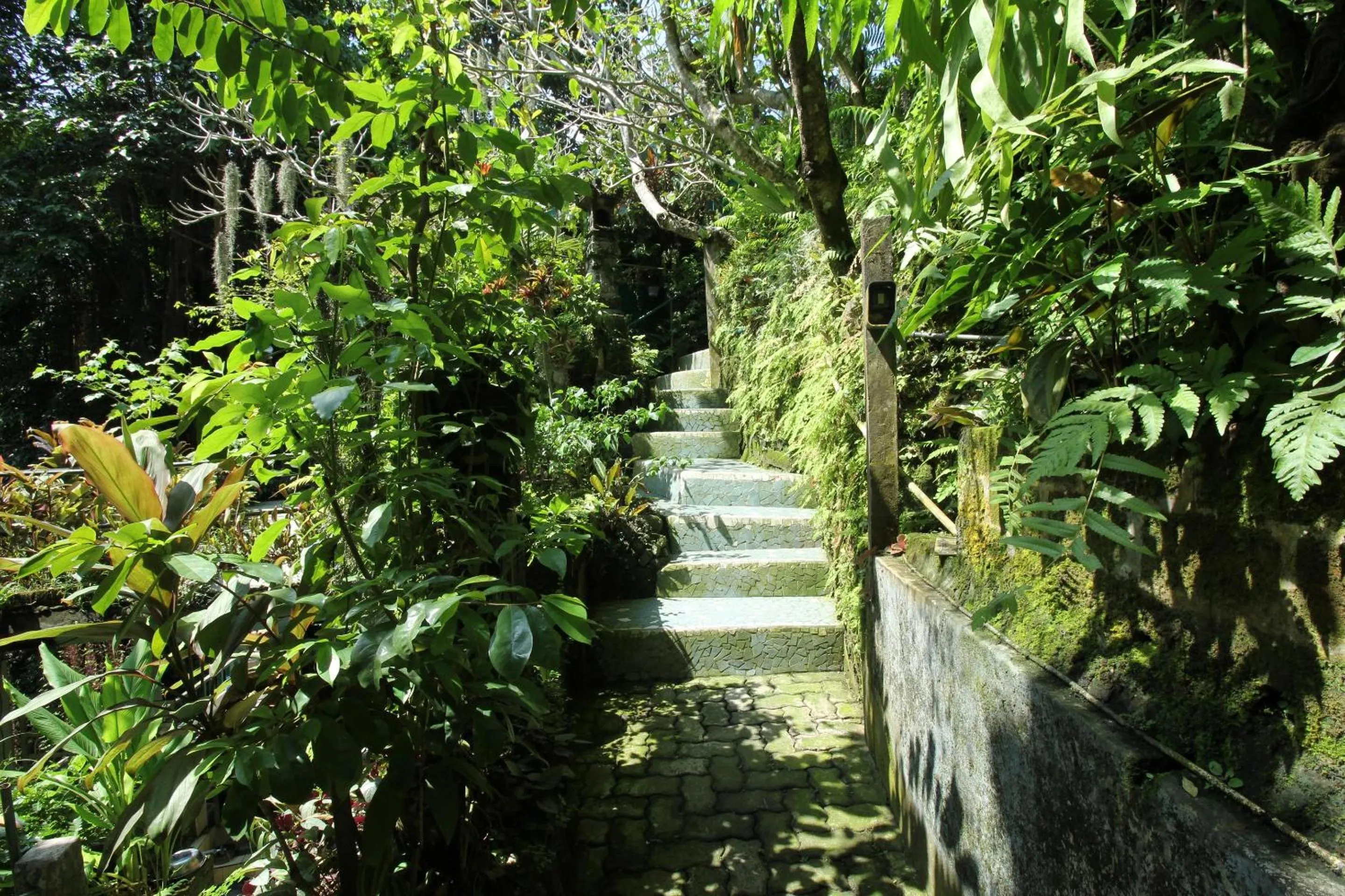 Lobby or reception in Belvilla Padma Legian Resort Near Monkey ForestNearUbud Palace