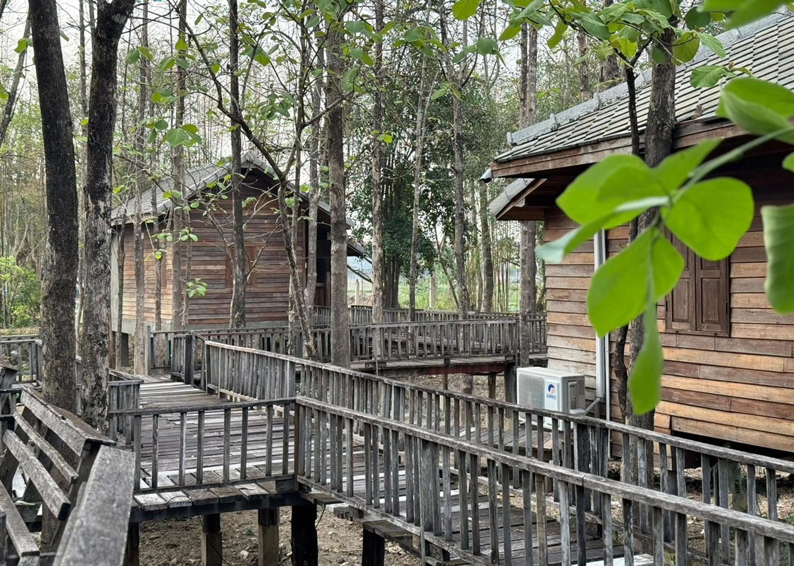 Natural landscape in Karina Resort Chiang Mai