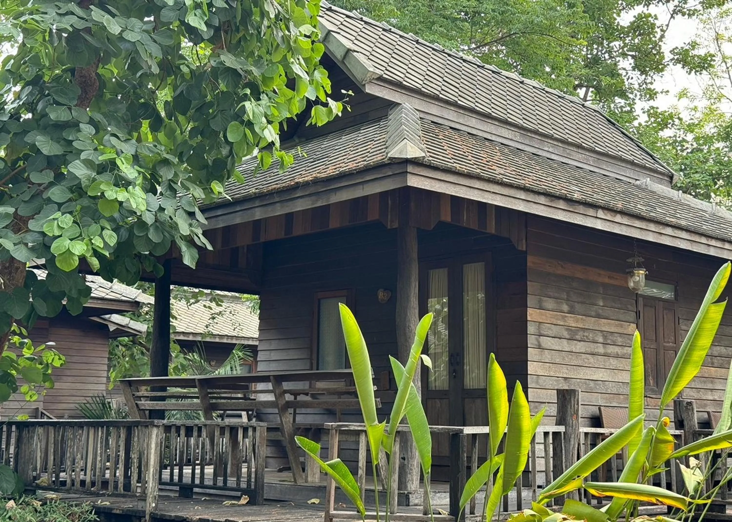 Garden view in Karina Resort Chiang Mai