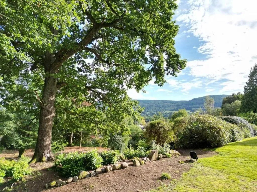 Natural landscape in Wellwood Manor