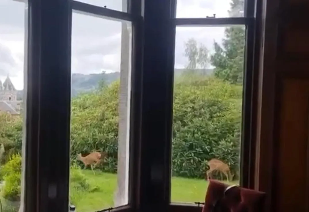 Natural landscape in Wellwood Manor