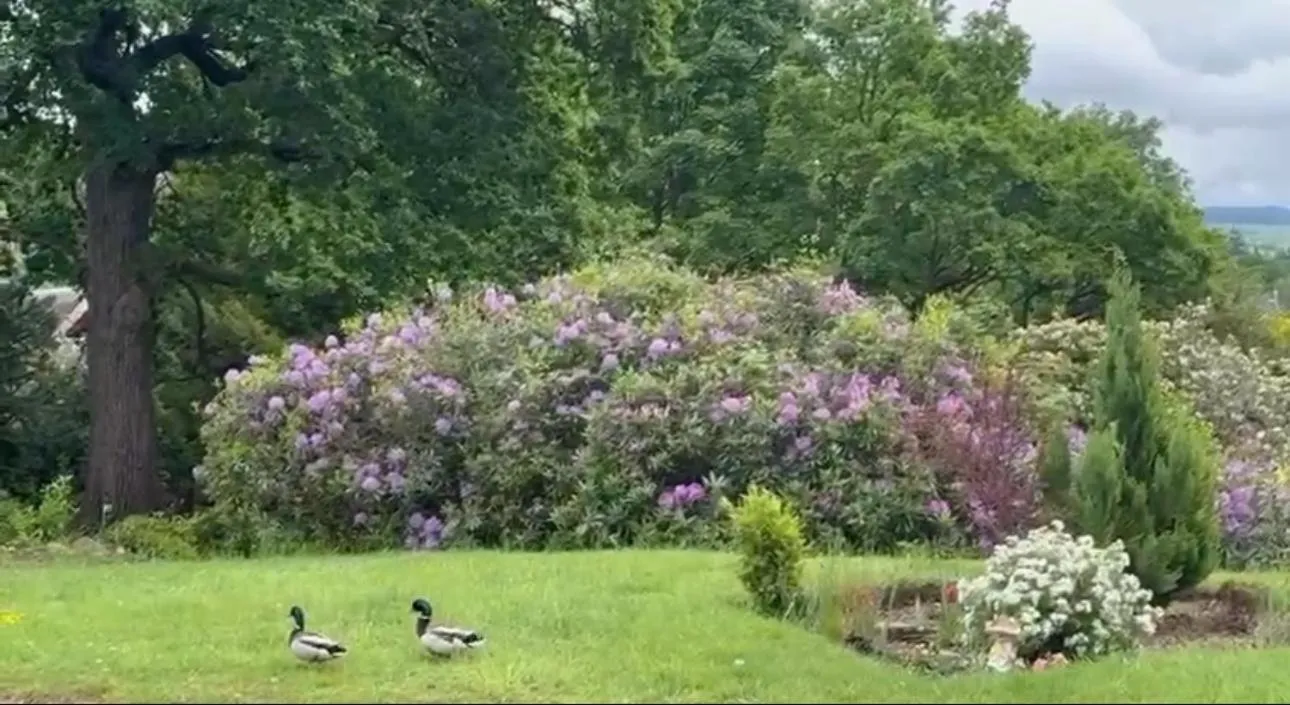 Spring in Wellwood Manor