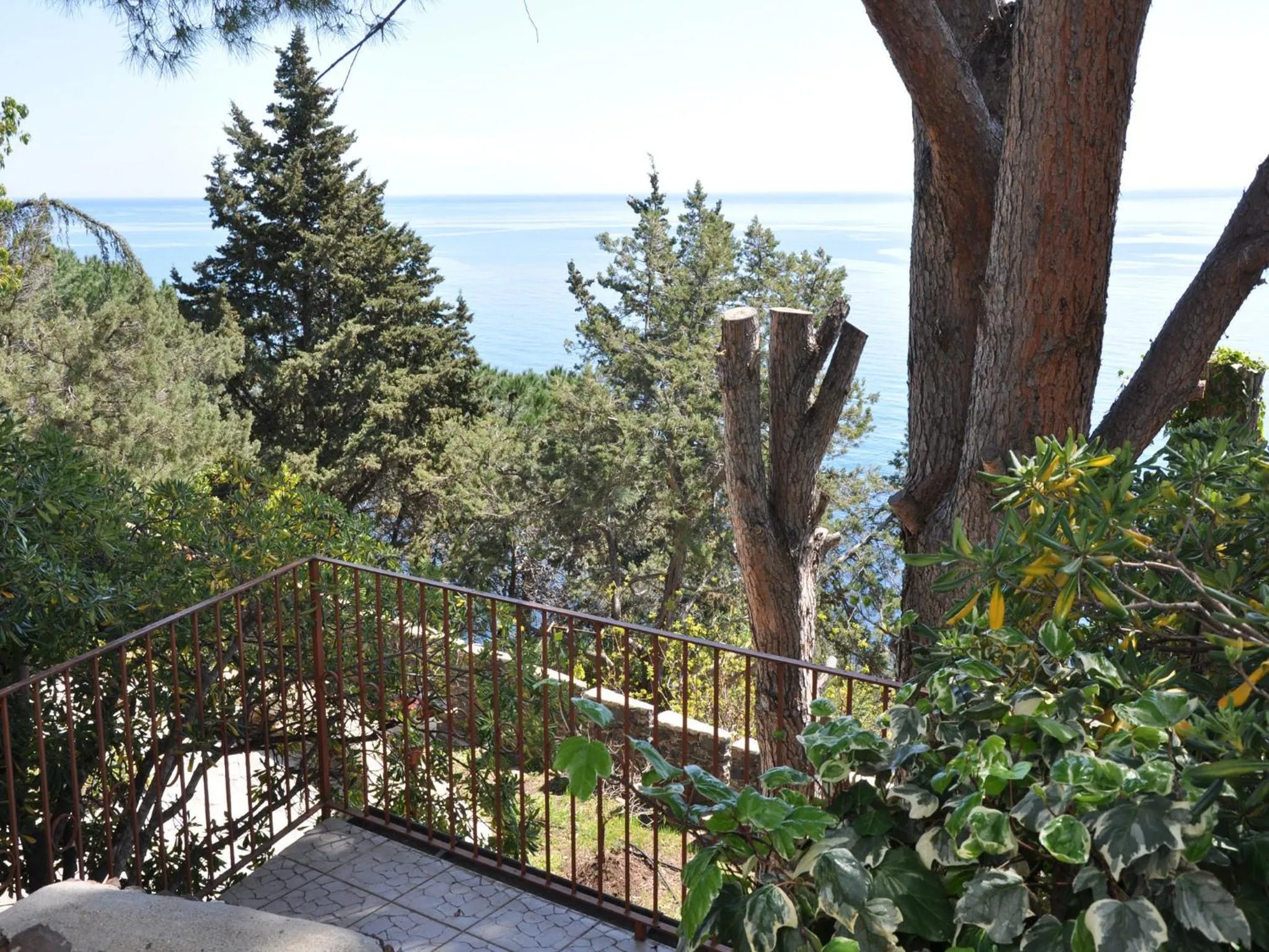 Garden in Hotel L'Oasi