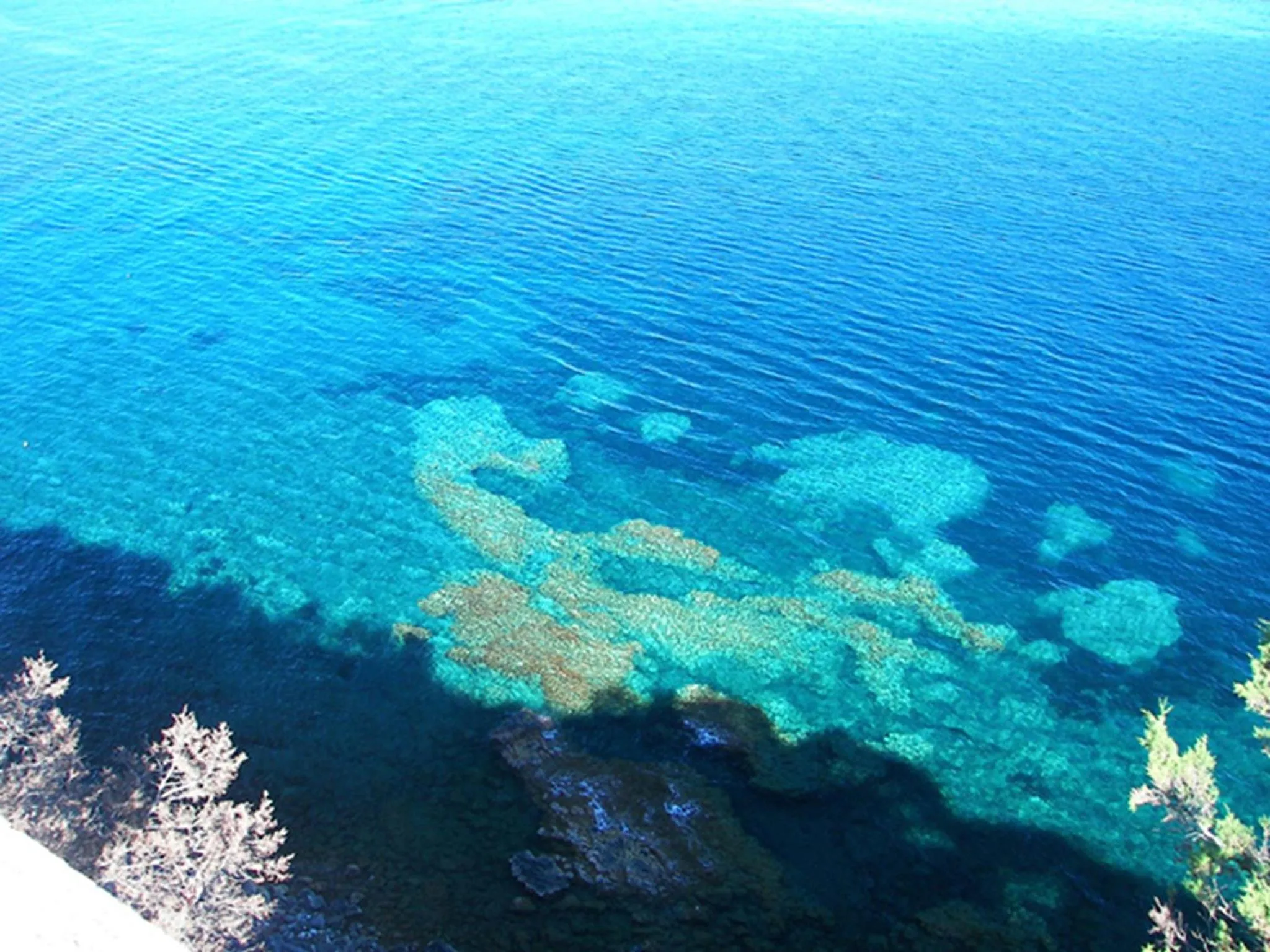 View (from property/room) in Hotel L'Oasi