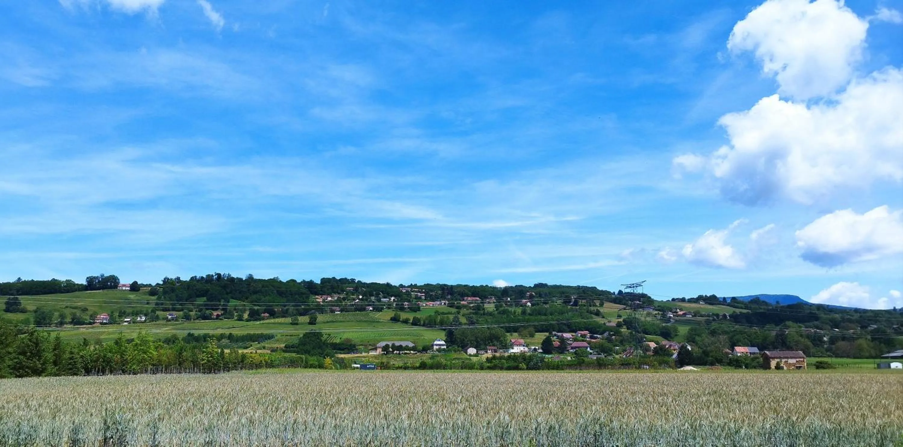 Natural landscape in Hotel Le Belmont