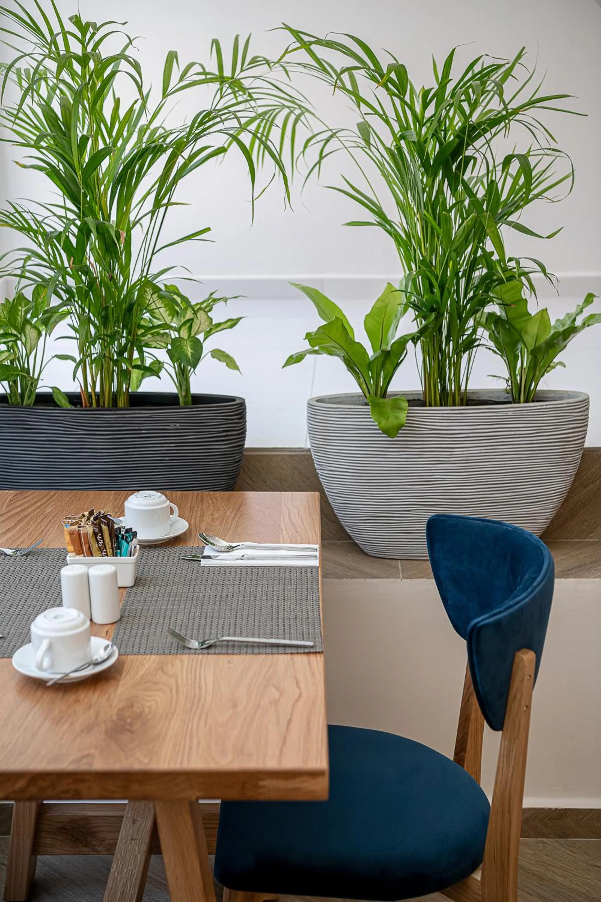 Restaurant/places to eat in Miss Marrone City Hotel