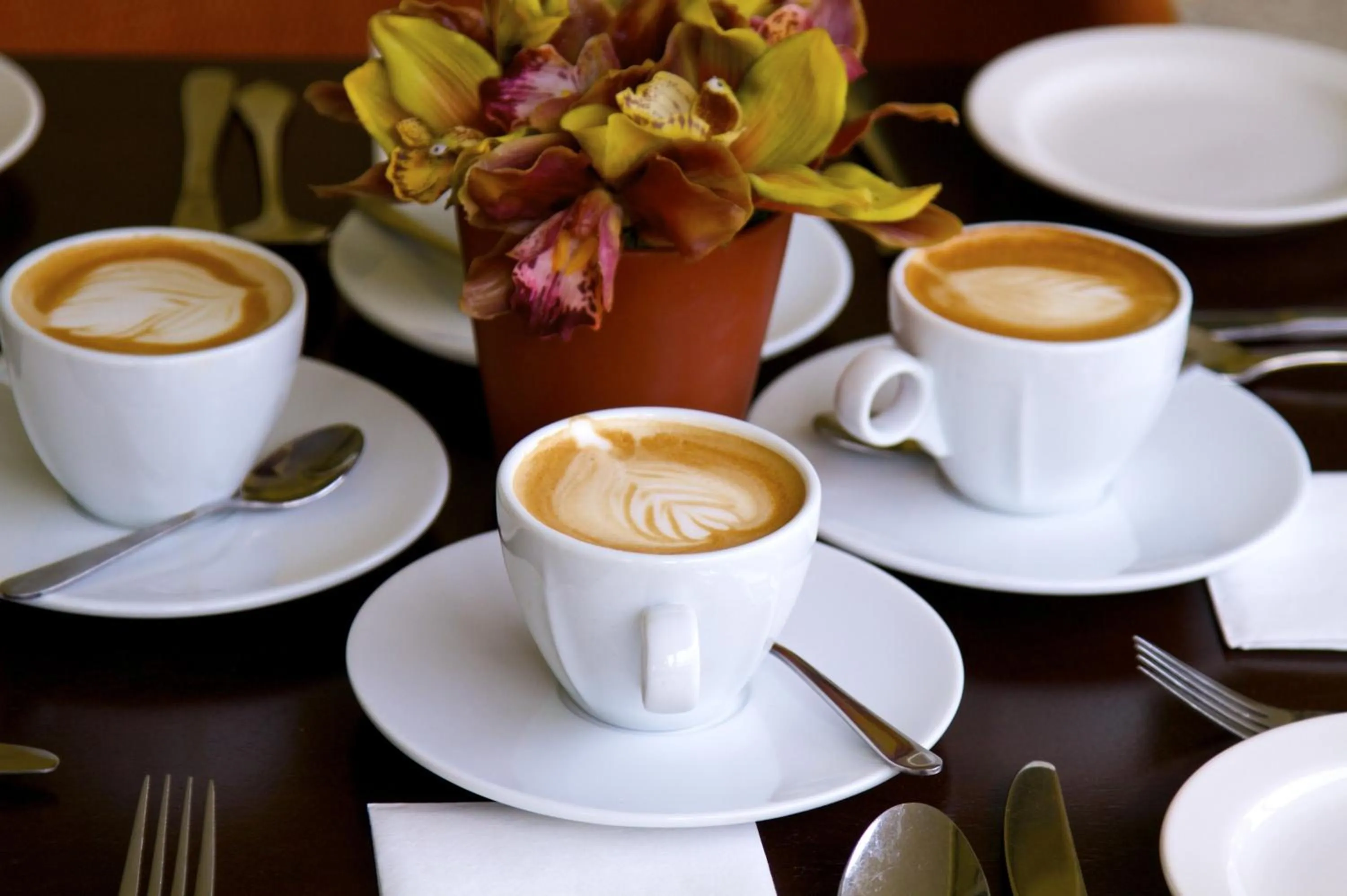 Non alcoholic drinks in Foothills