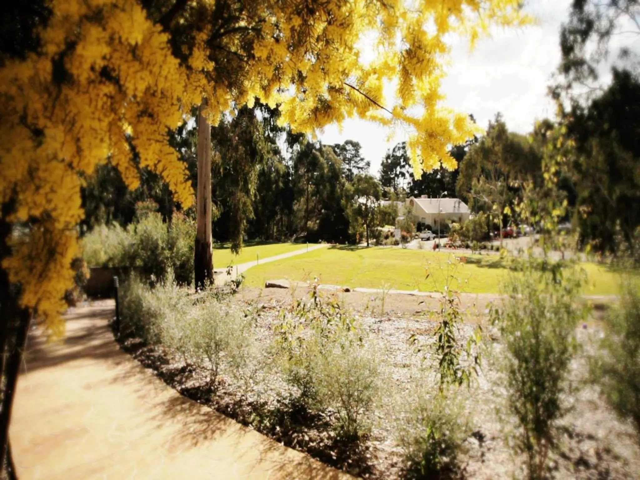 Facade/entrance in Foothills