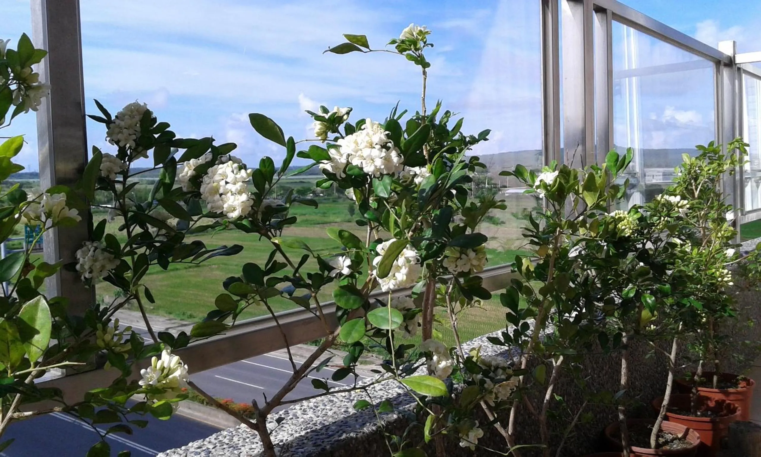 Decorative detail in Green Yard B&B