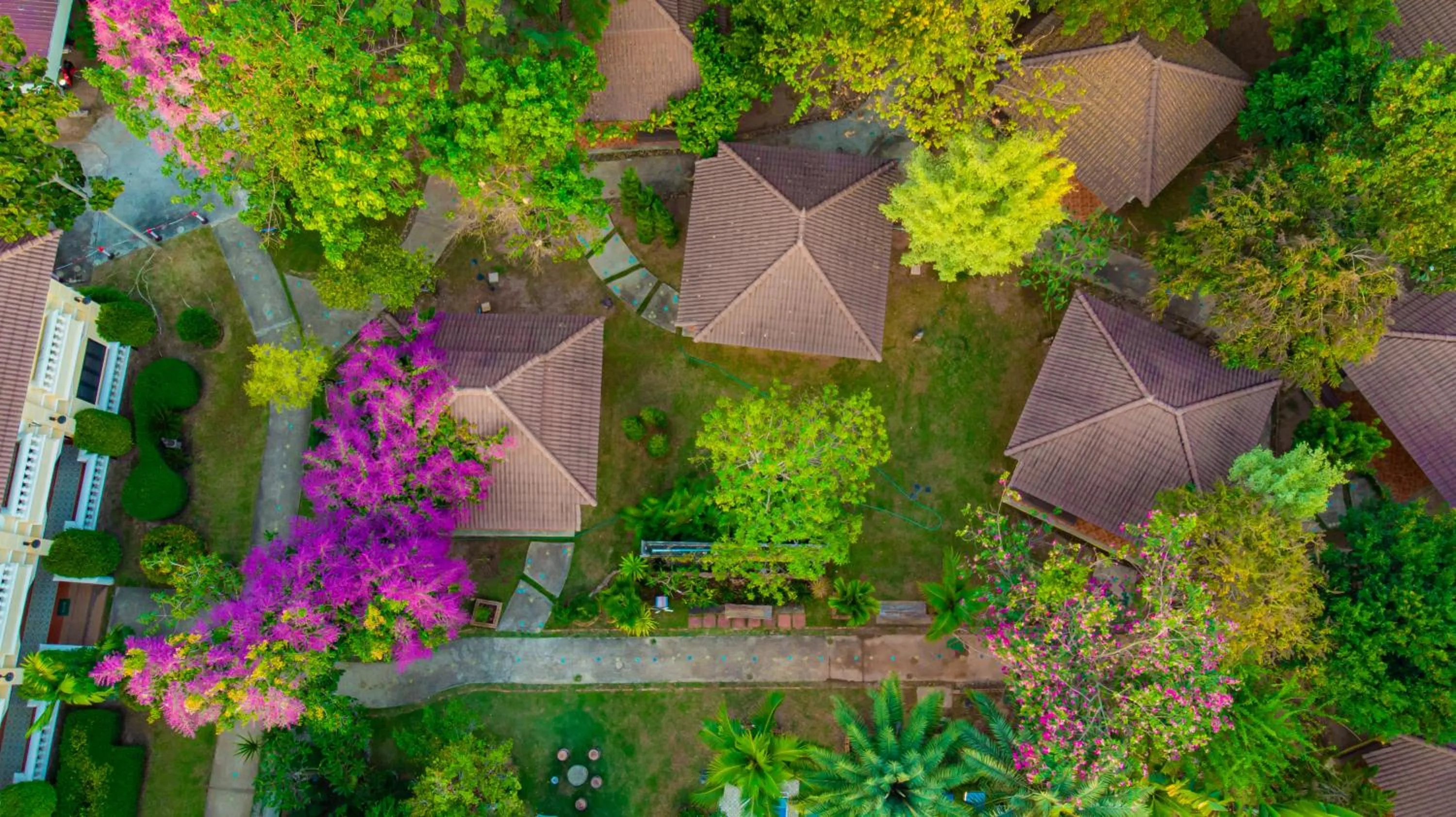 View (from property/room) in Park & Pool Resort