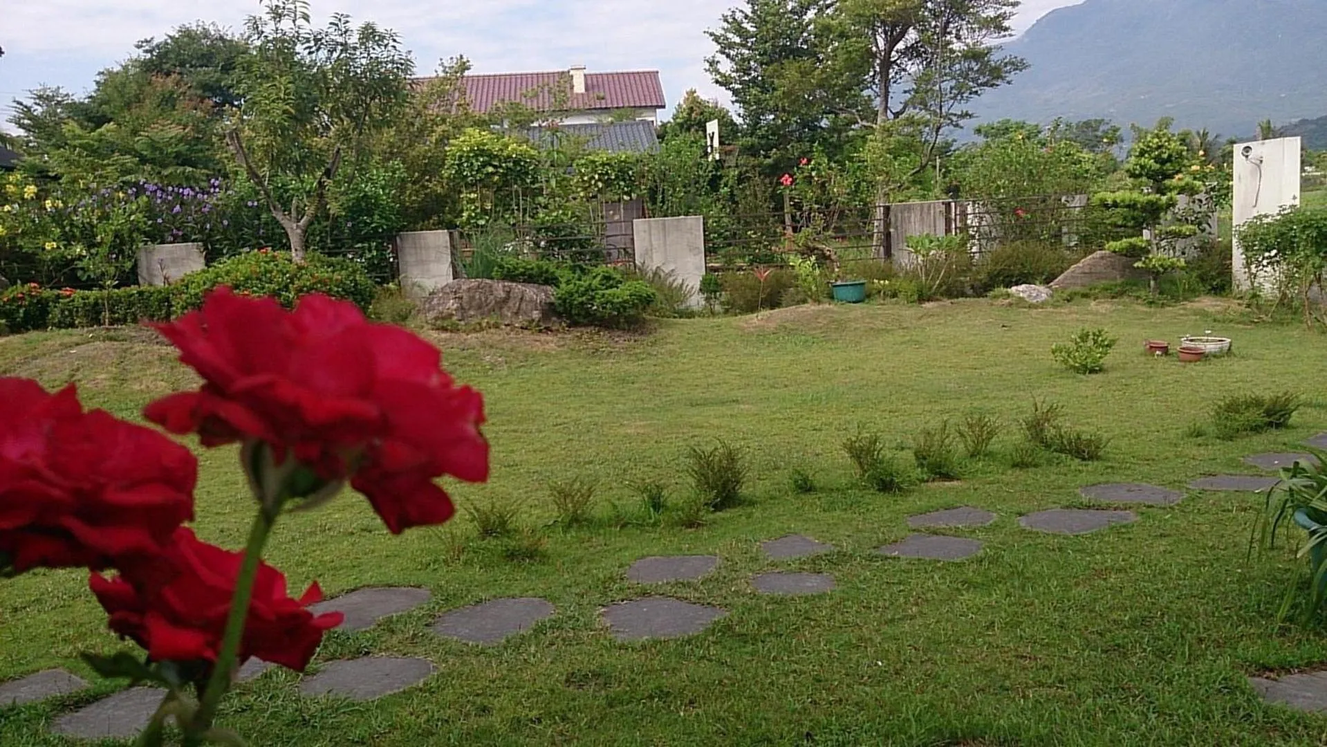 View (from property/room) in Slow Fly B&B