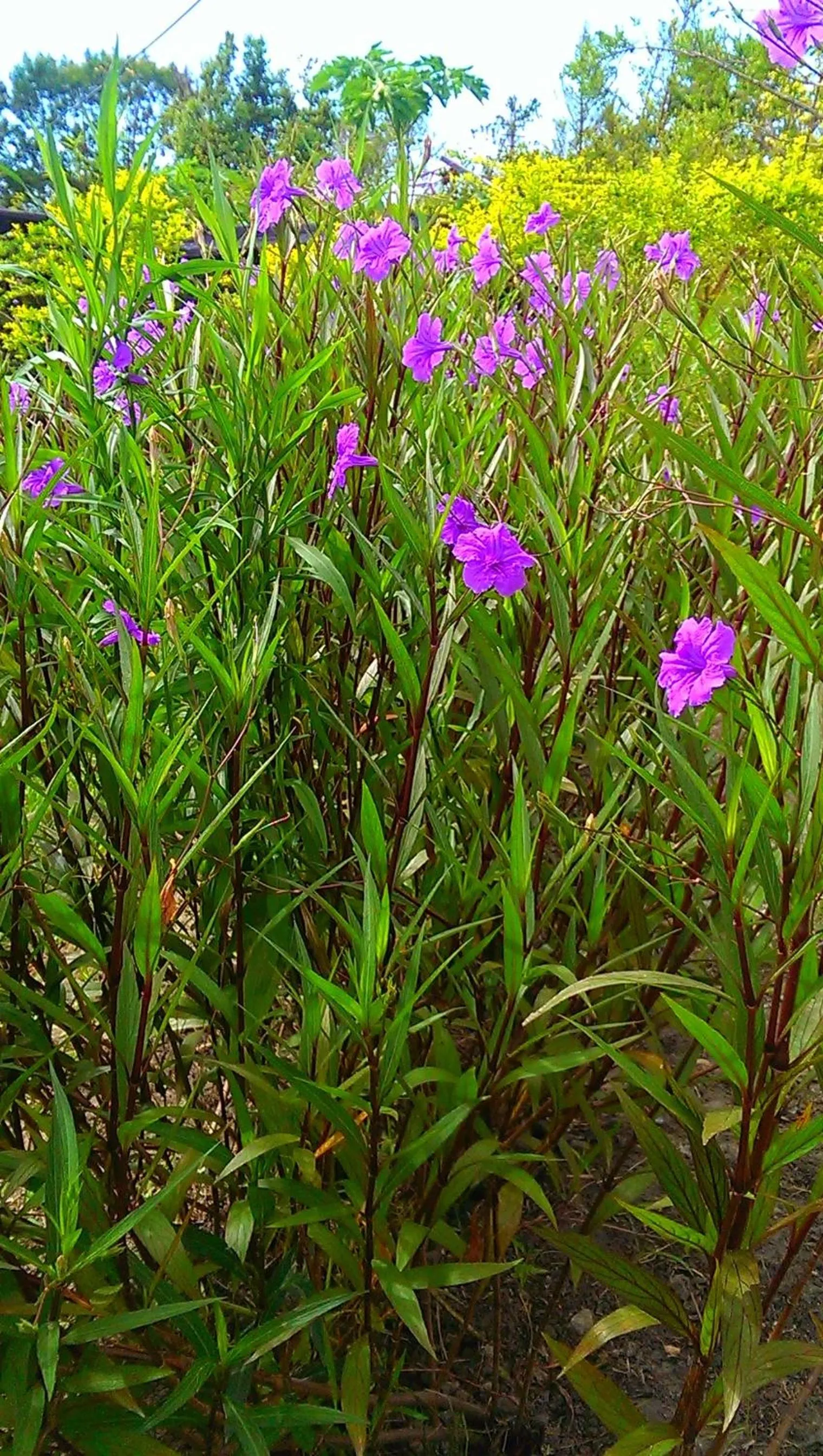 View (from property/room) in Slow Fly B&B