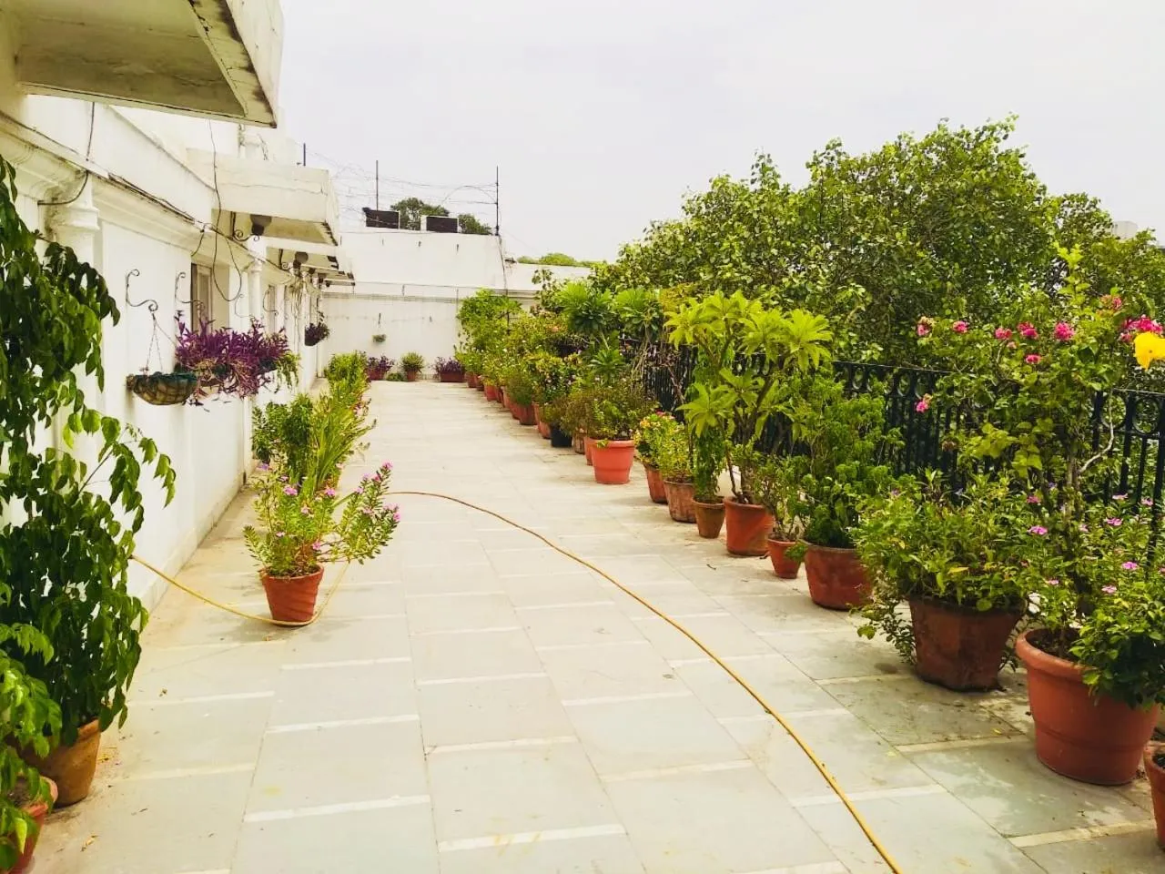 Balcony/Terrace in Hotel Jukaso Inn Down Town
