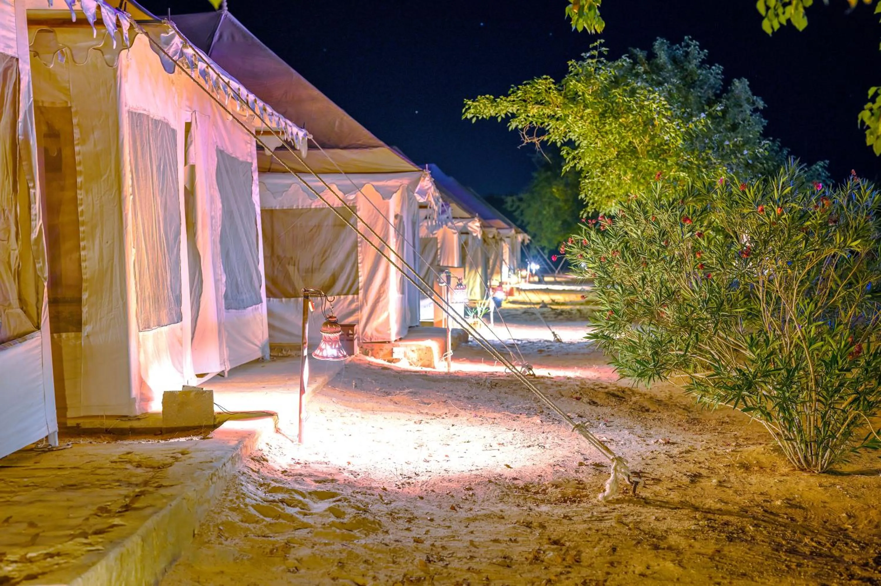 Prince Desert Camp
