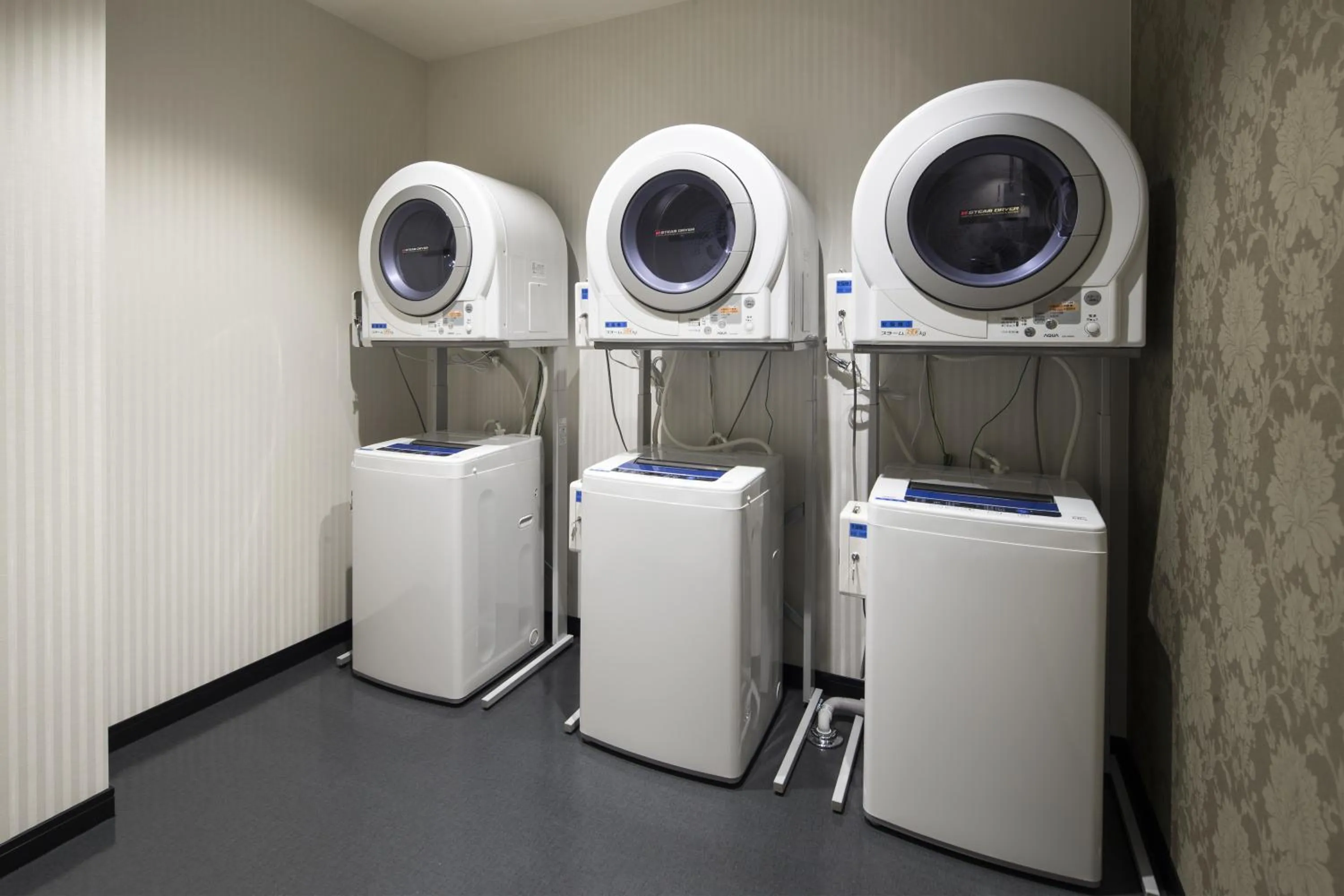 Other in Green Rich Hotel Izumo (Artificial hot spring Futamata Yunohana)