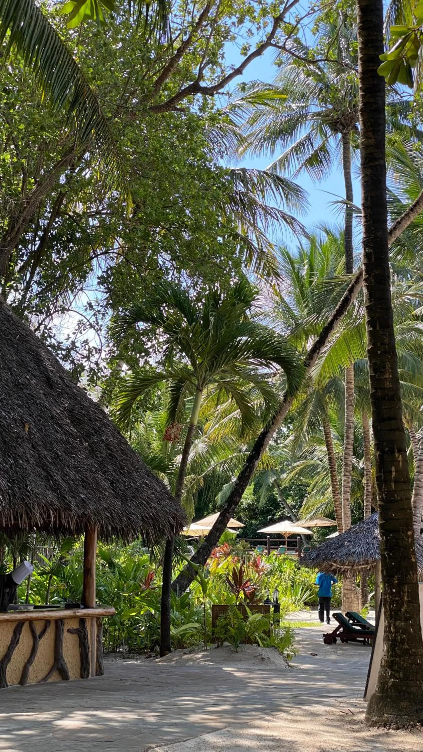 View (from property/room) in Pinewood Beach Resort and Spa