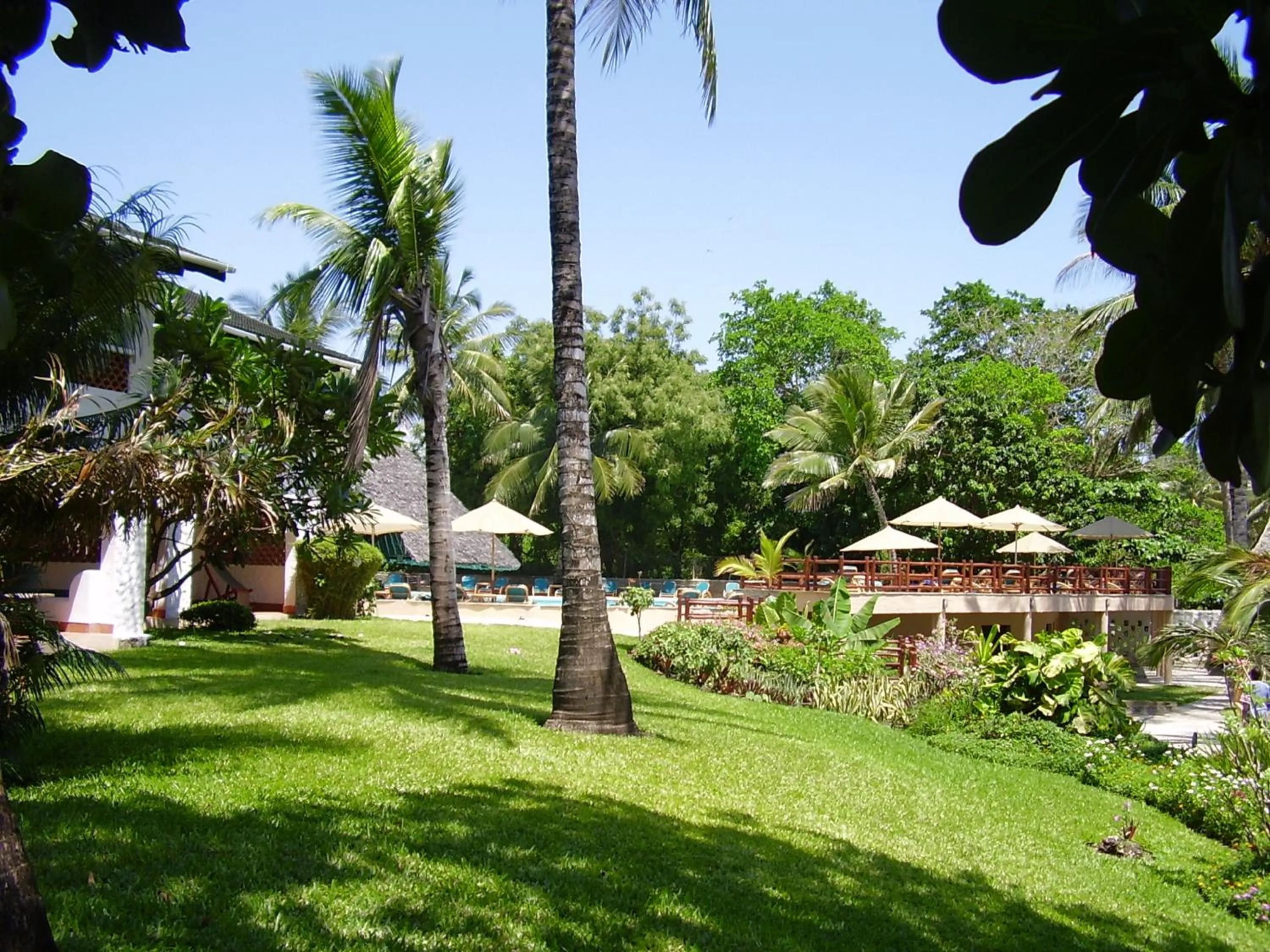 Garden in Pinewood Beach Resort and Spa