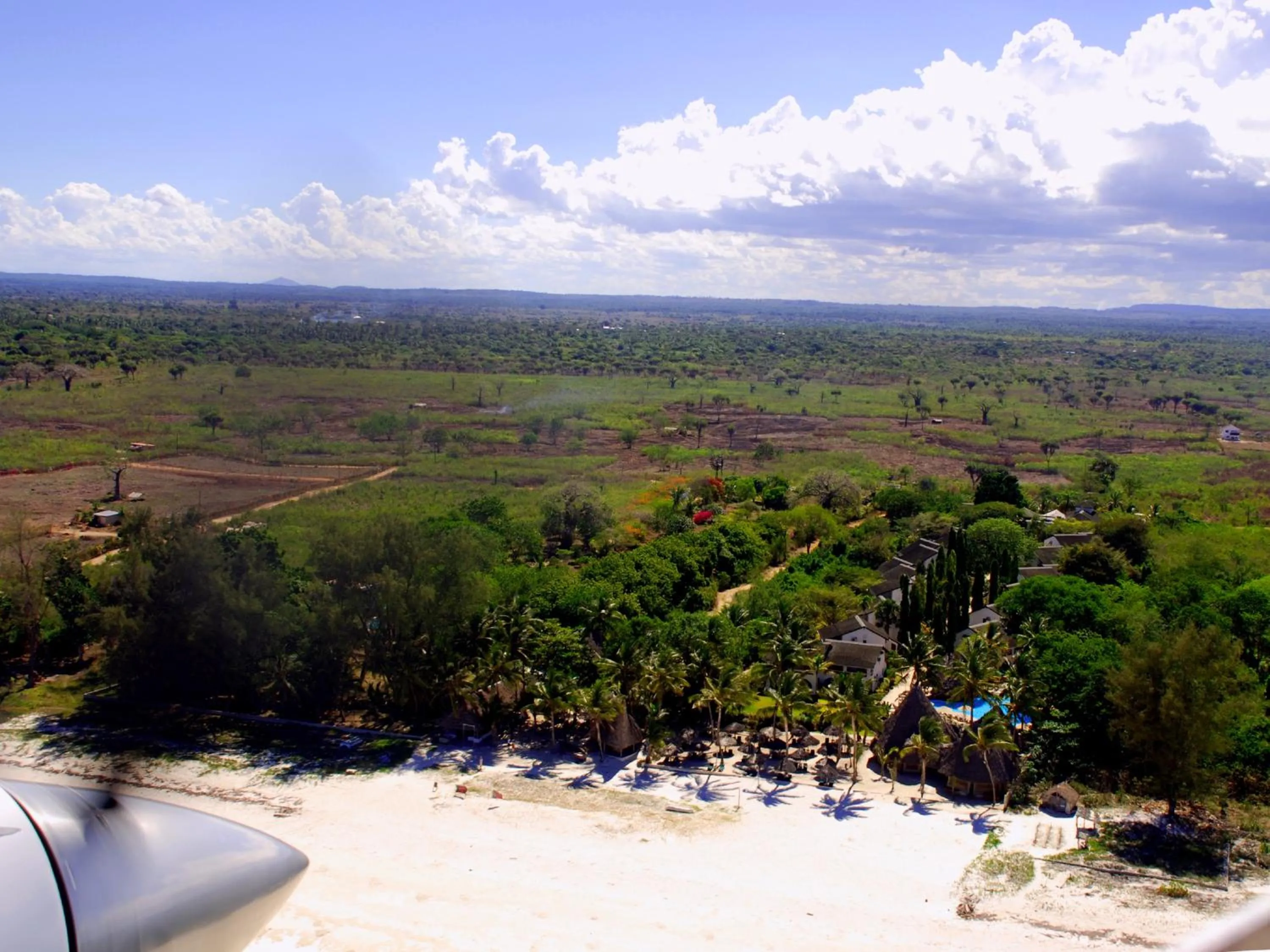 Natural landscape in Pinewood Beach Resort and Spa