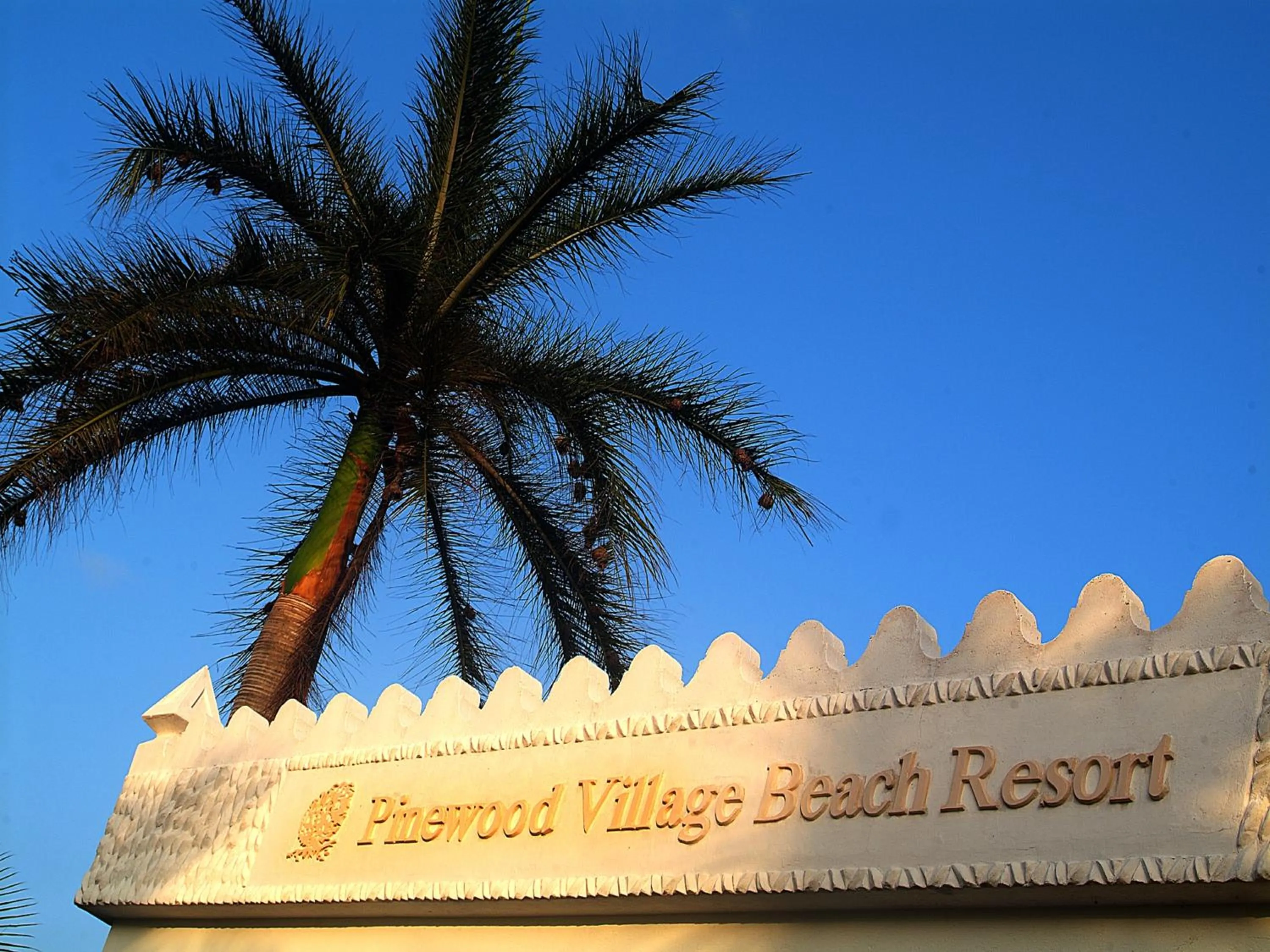 Logo/Certificate/Sign in Pinewood Beach Resort and Spa