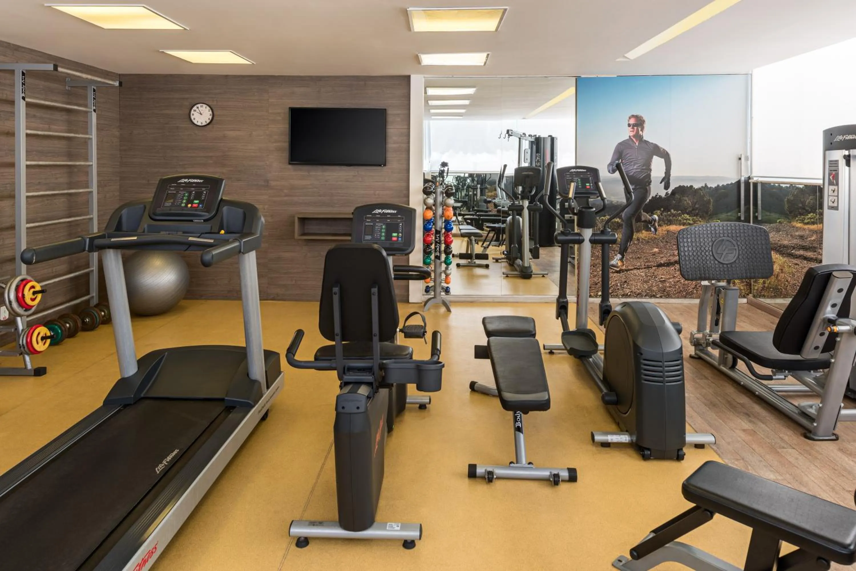 Fitness centre/facilities in Mercure Belo Horizonte Savassi