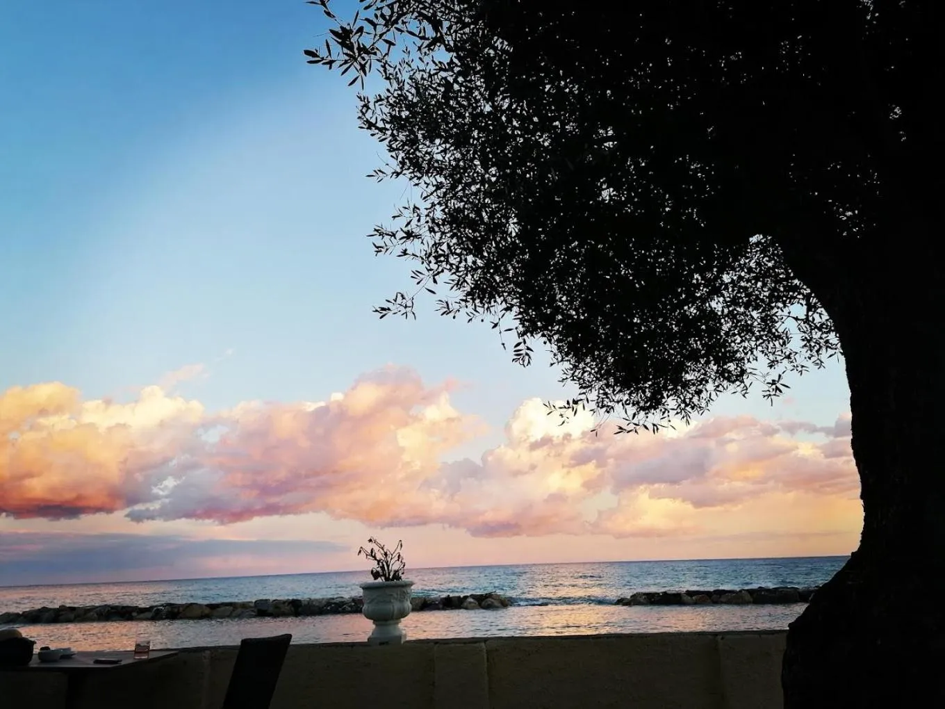 Natural landscape in Hotel Eden Park