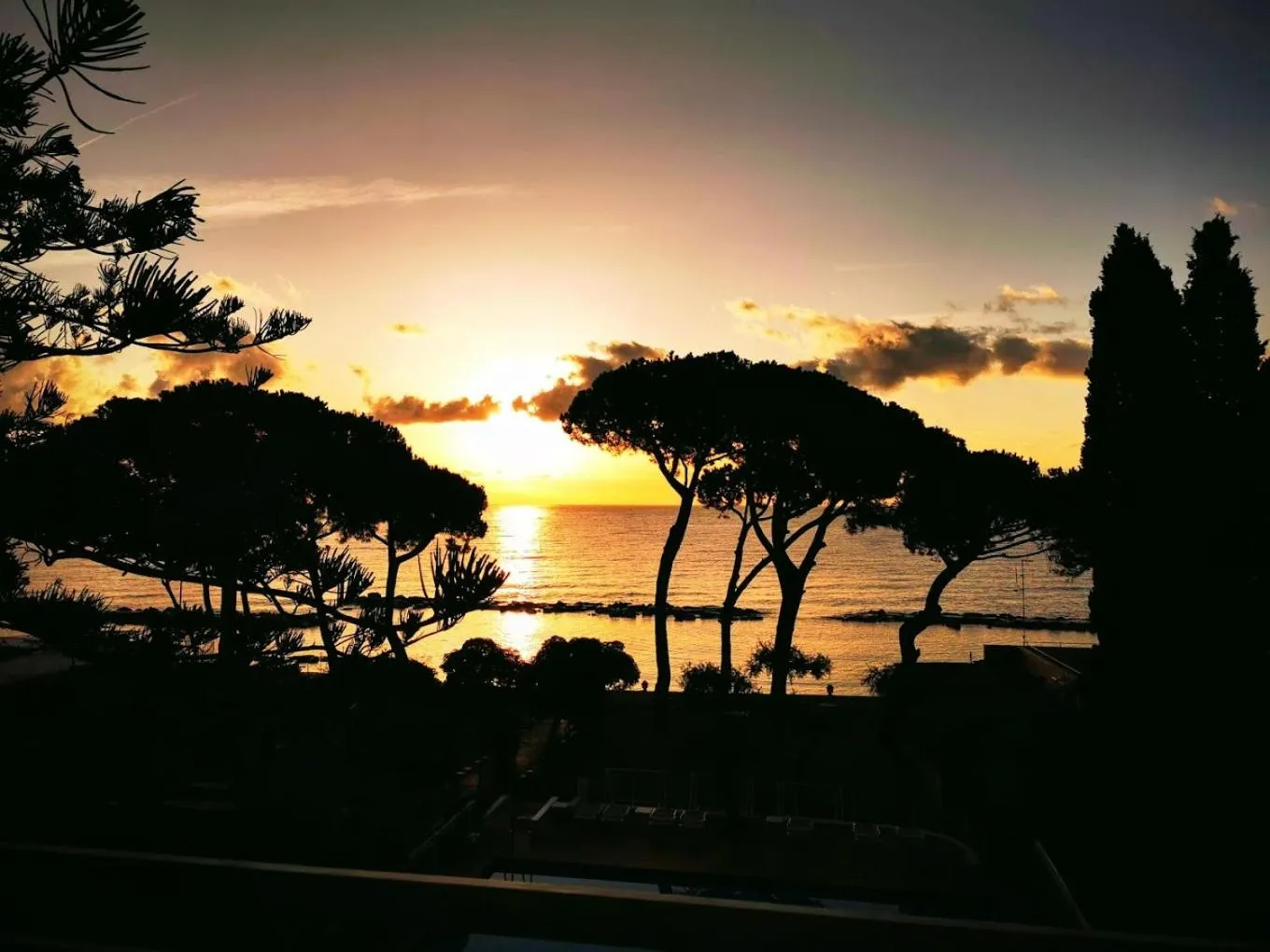 Natural landscape in Hotel Eden Park