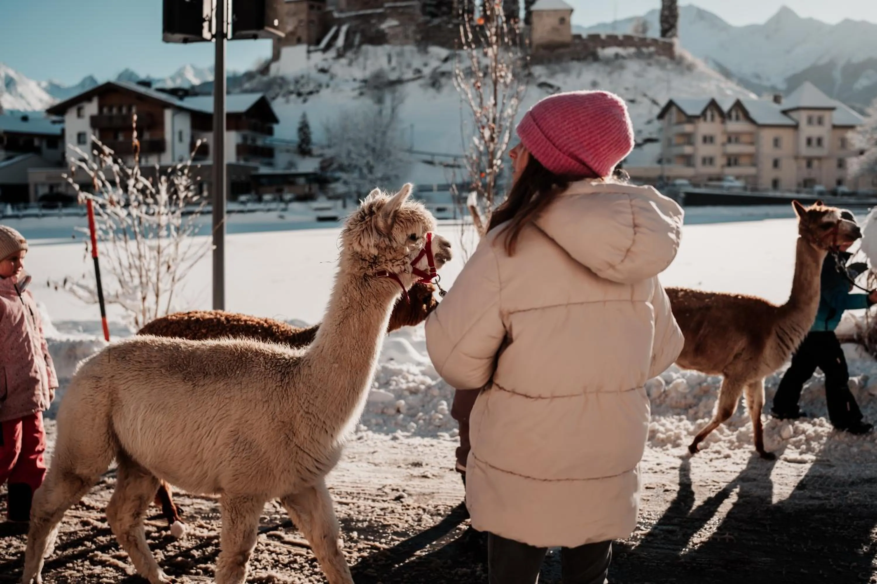 Animals in Kinderhotel Laderhof